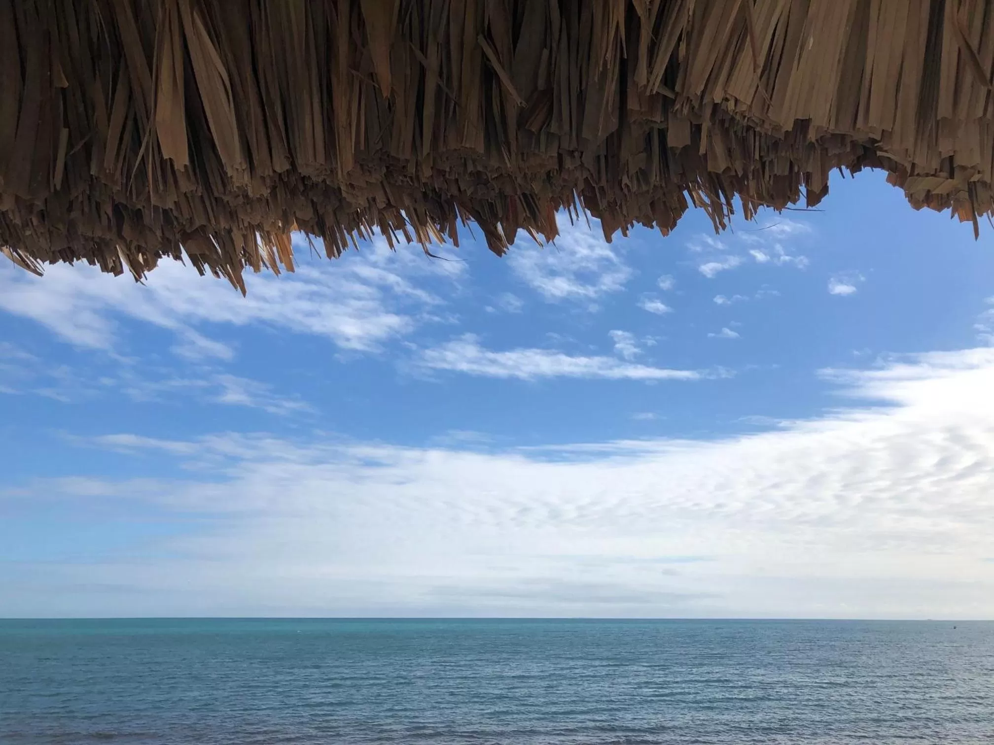 Beach in Ocean Breeze