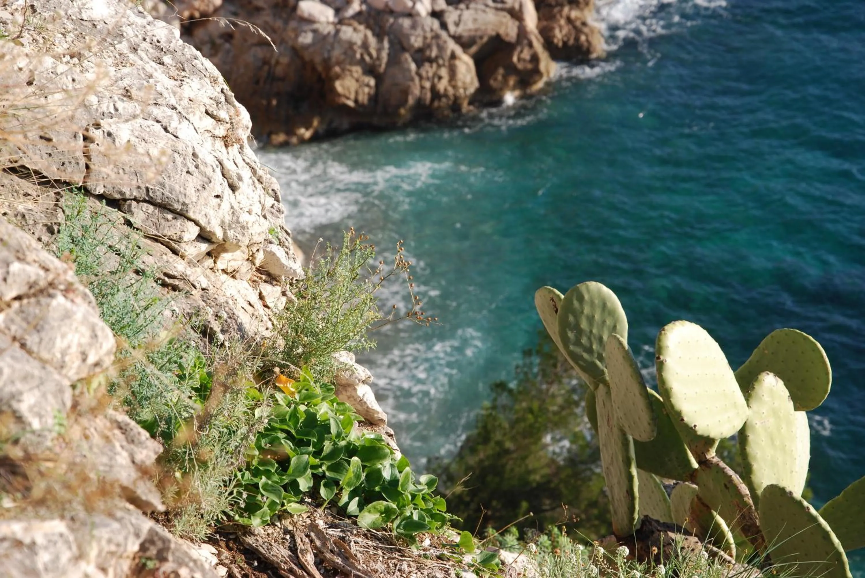 Area and facilities in Hotel Miramar