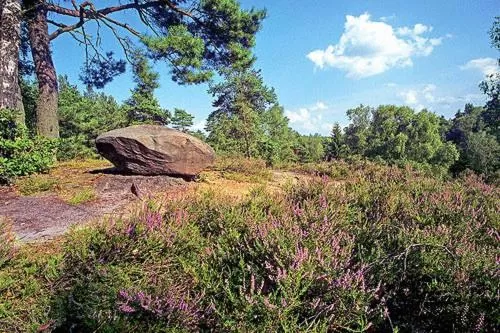 Spring in Biohotel Spöktal