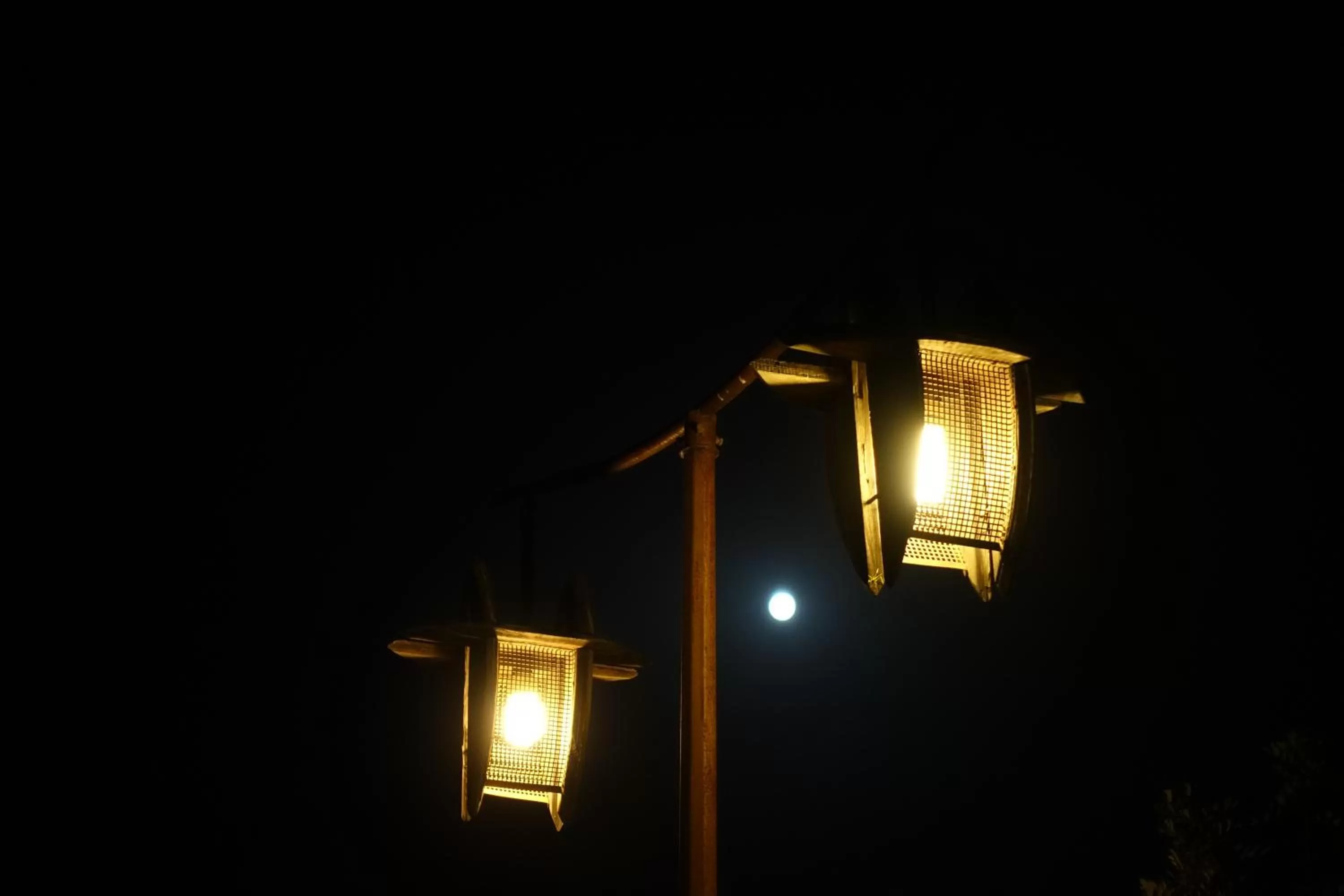 Night in Ardea Purpurea