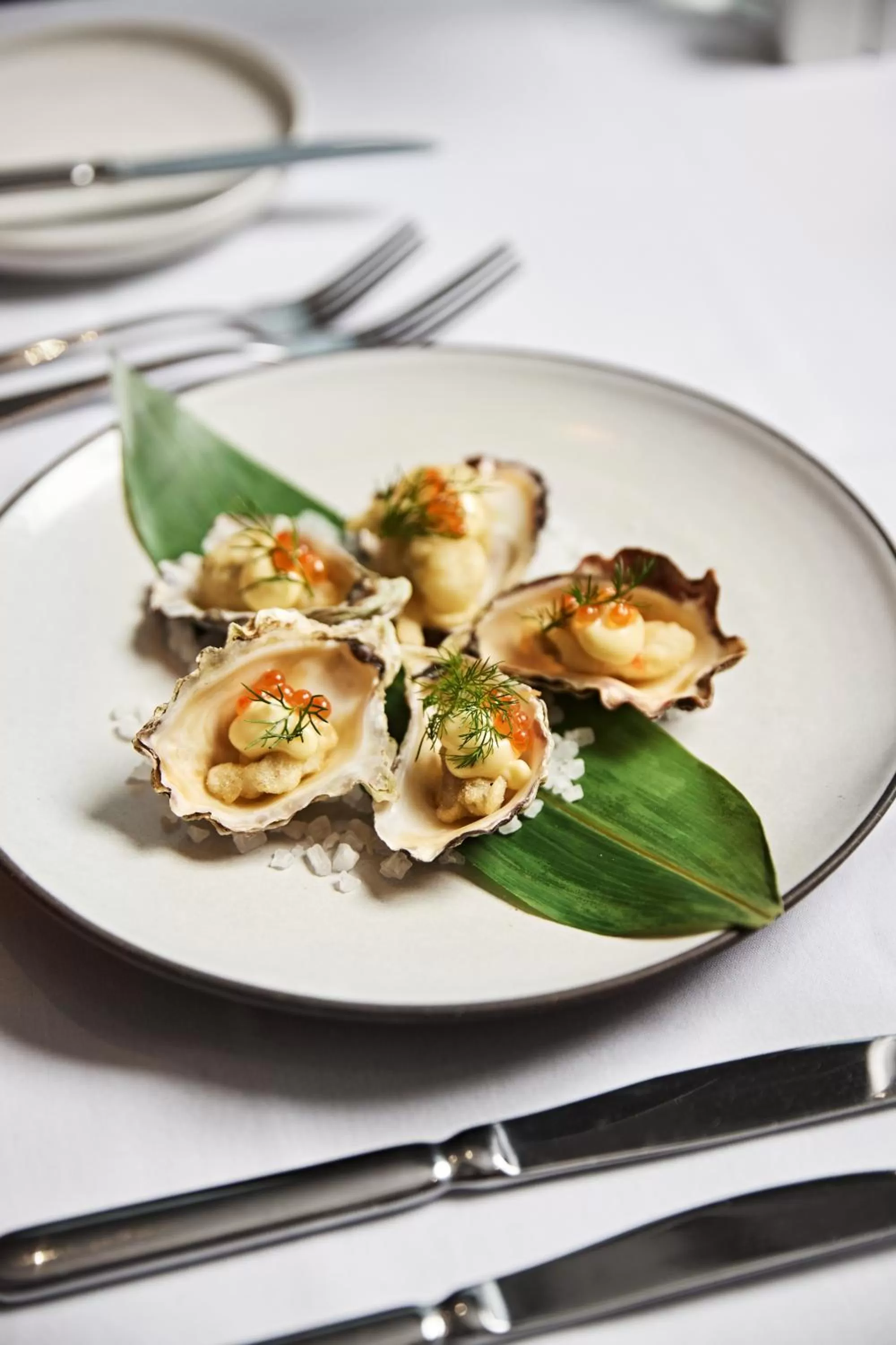 Restaurant/places to eat in View Sydney