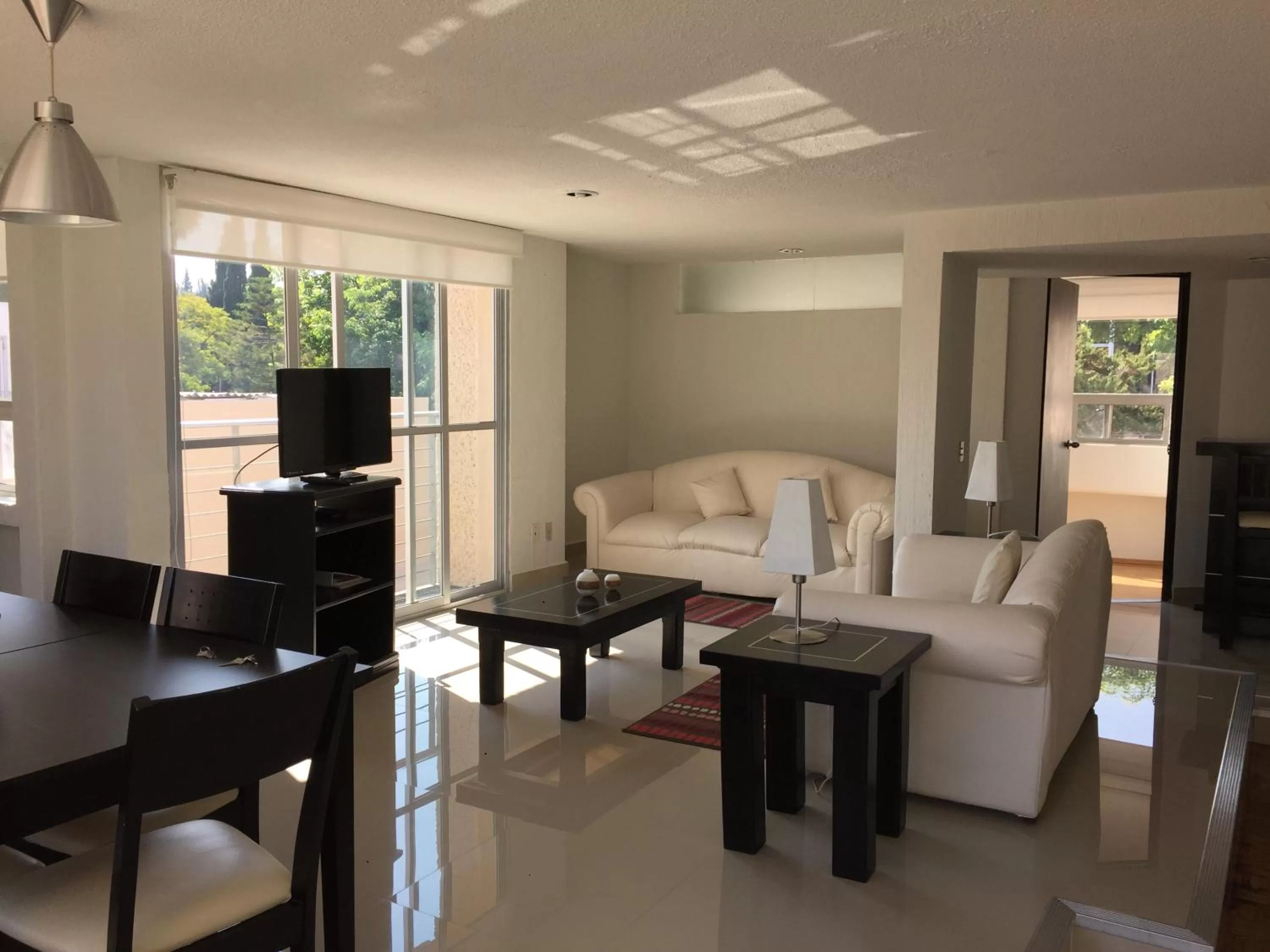 Living room in Bosque de Magnolias 93