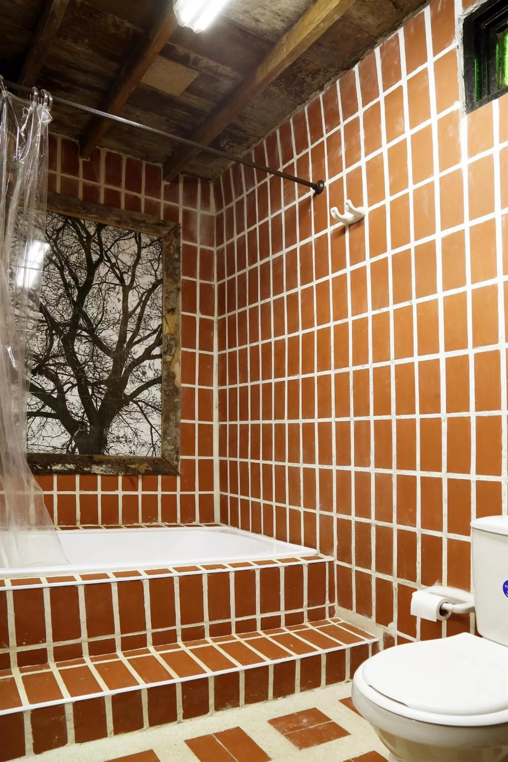 Property building, Bathroom in Finca Campestre La Adelita B&B