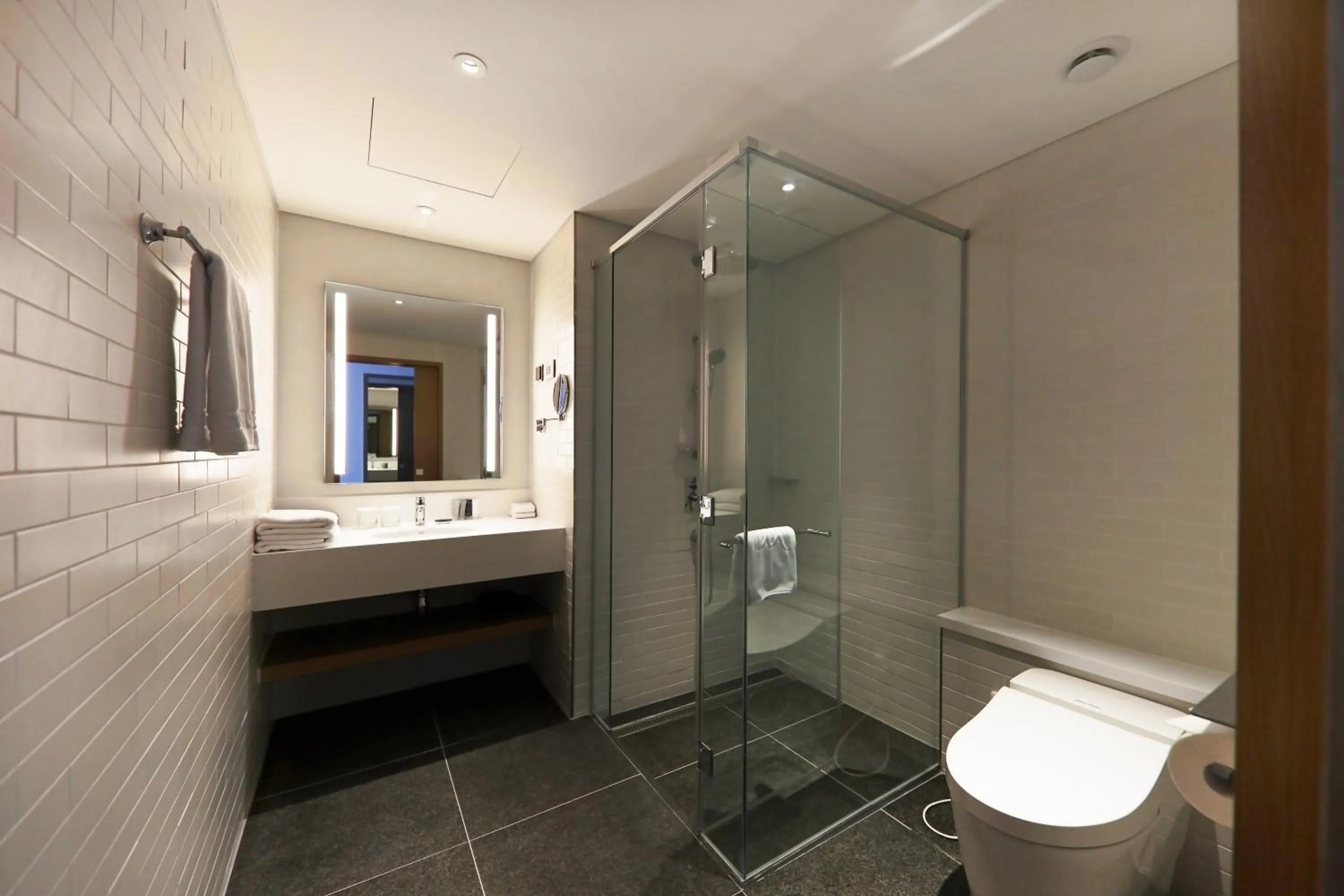 Shower in Mercure Ambassador Ulsan