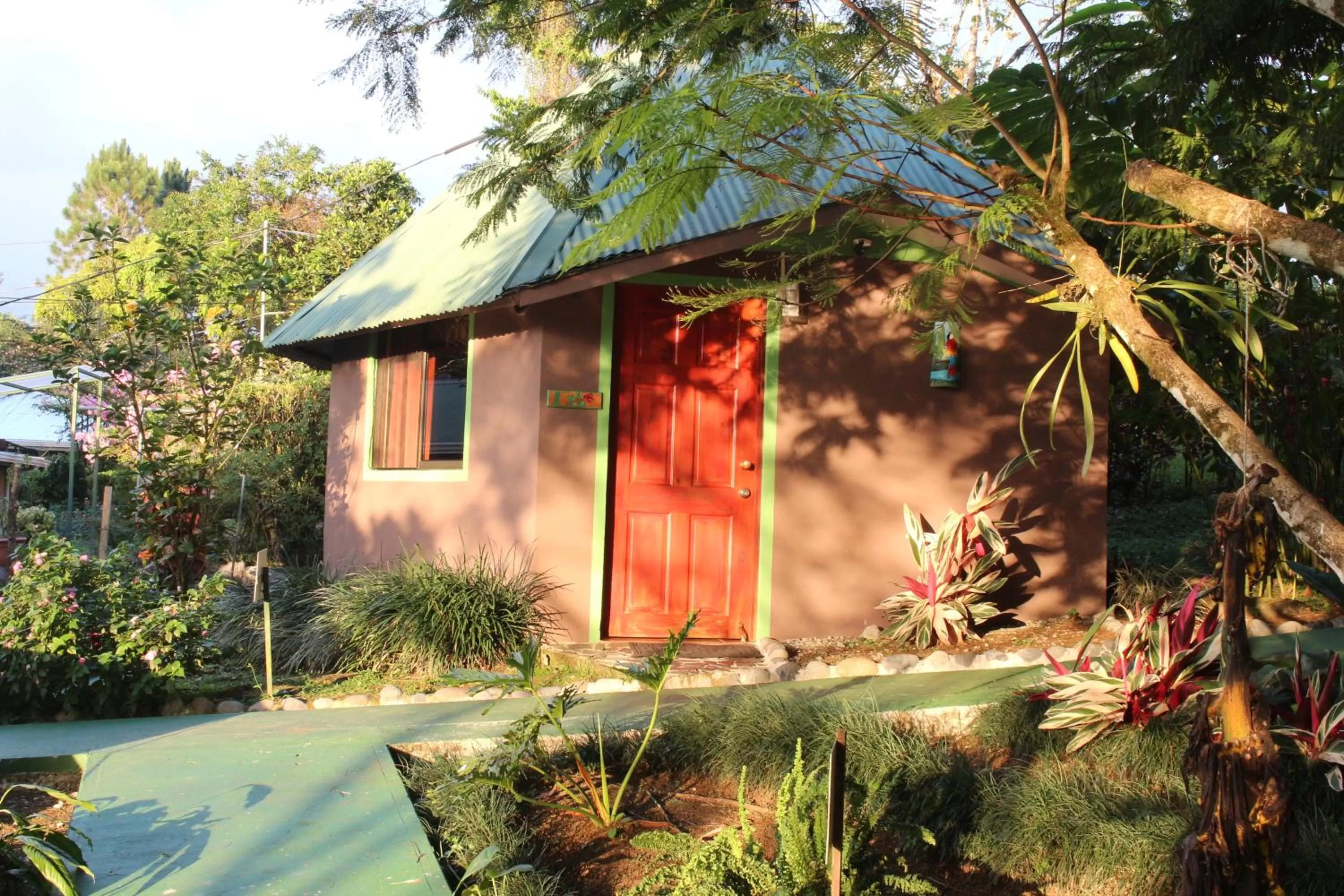 Property Building in Cabañas Green House