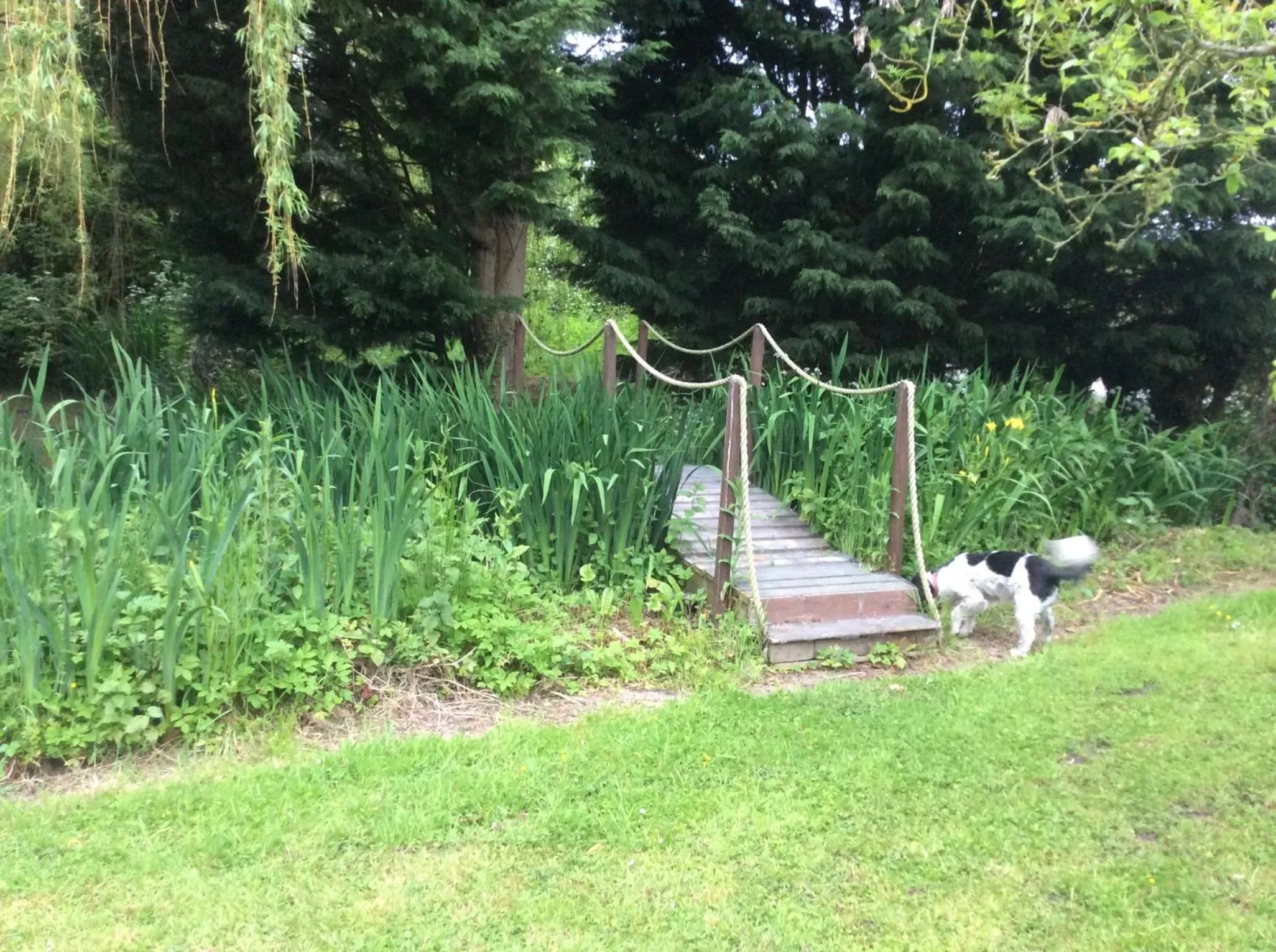 Valley Farmhouse, Westhall