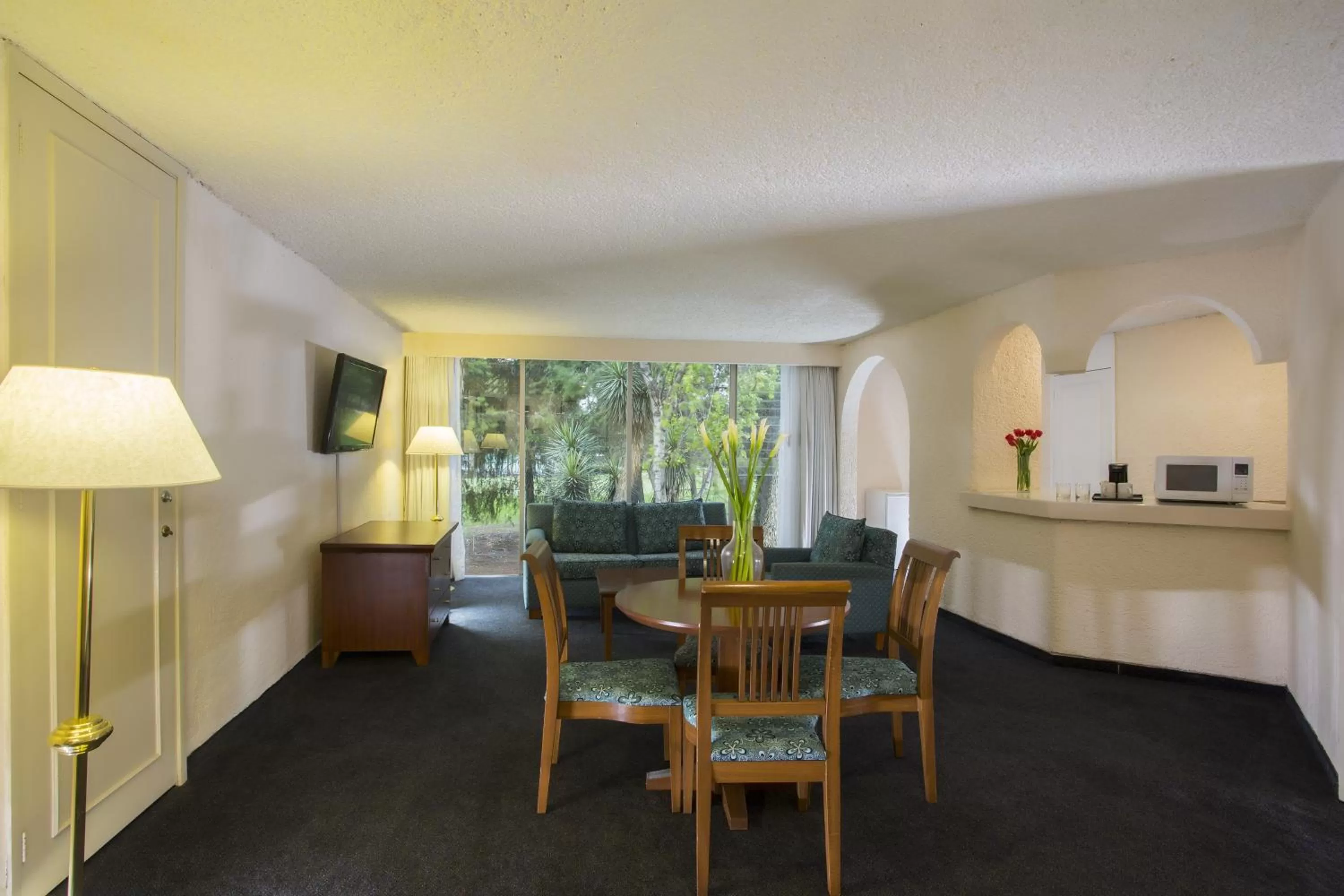 Photo of the whole room in Gamma Pachuca