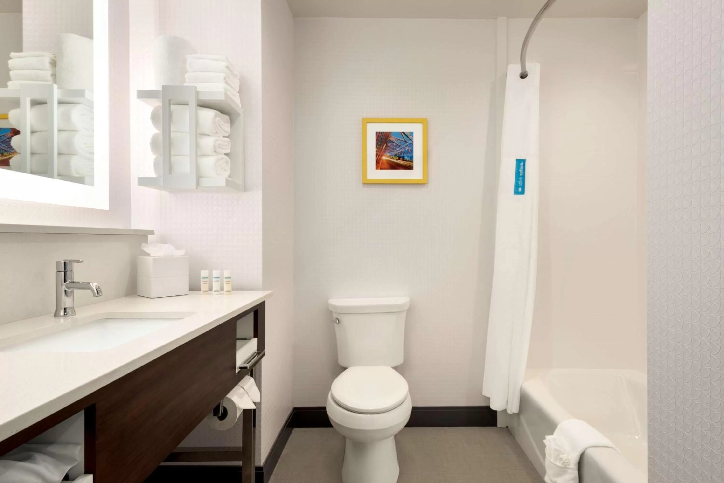 Bathroom in Hampton Inn & Suites Norman-Conference Center Area, Ok