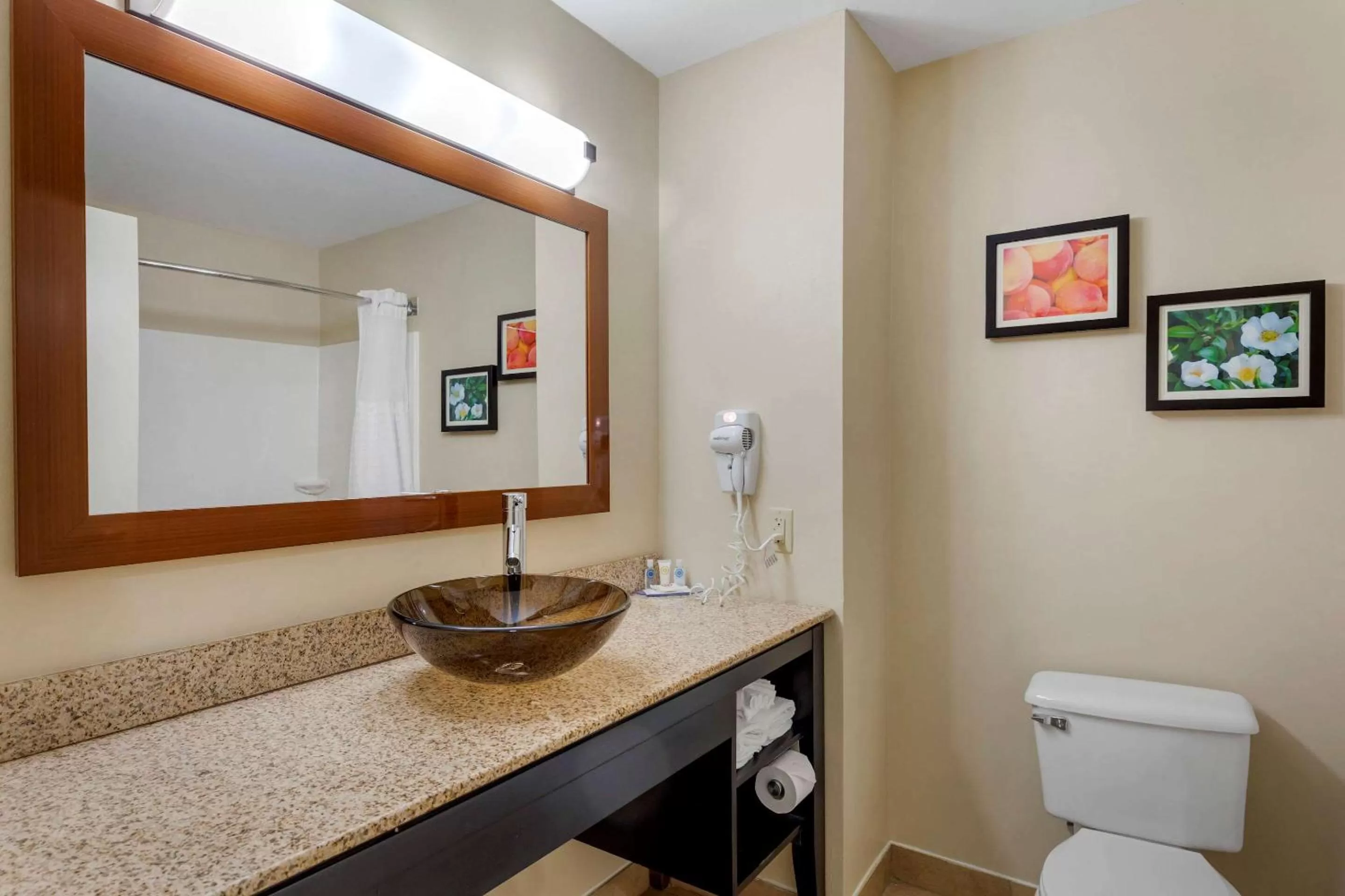 Bathroom in Comfort Inn & Suites Canton Riverstone Area