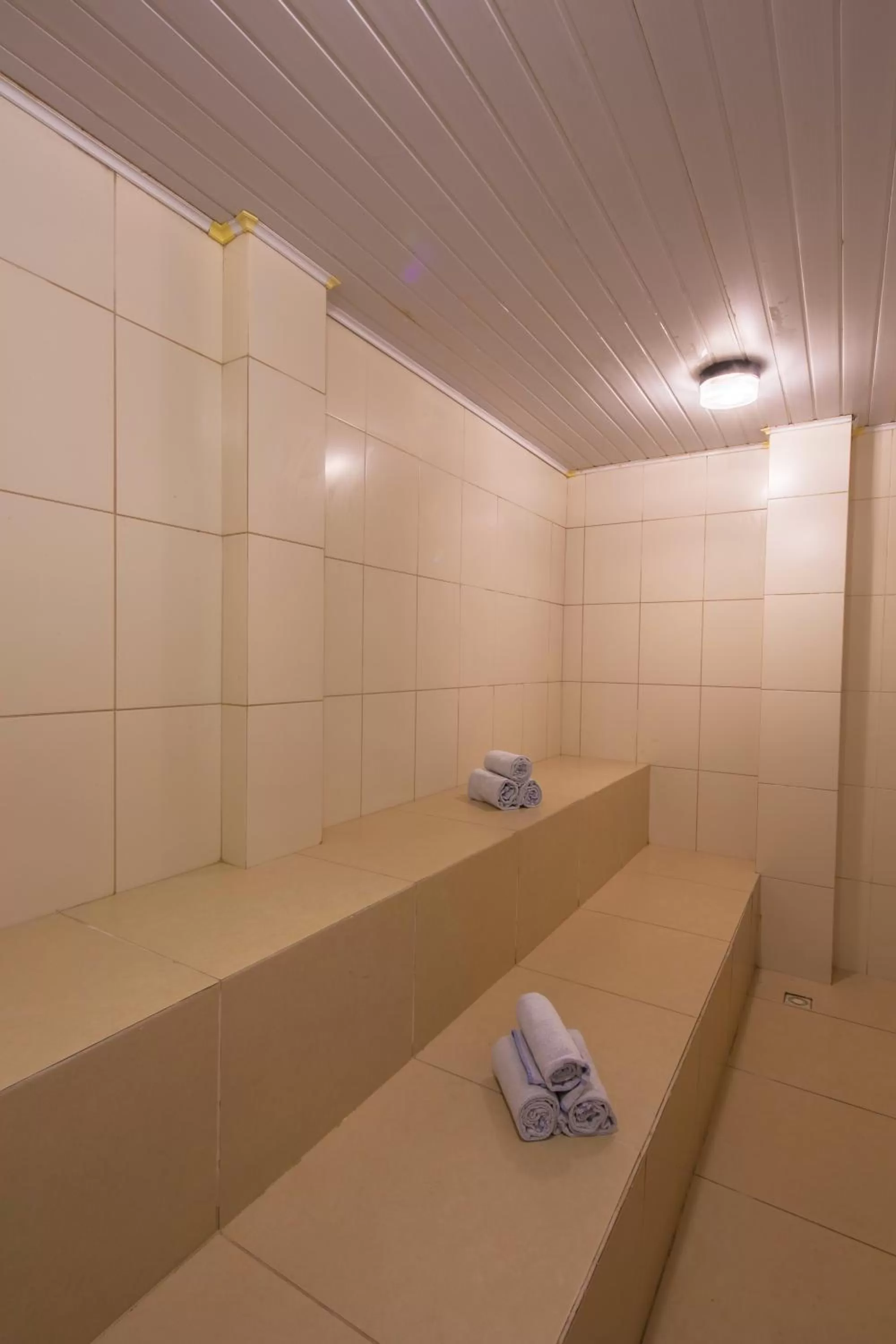 Sauna in Hotel Serra Nevada