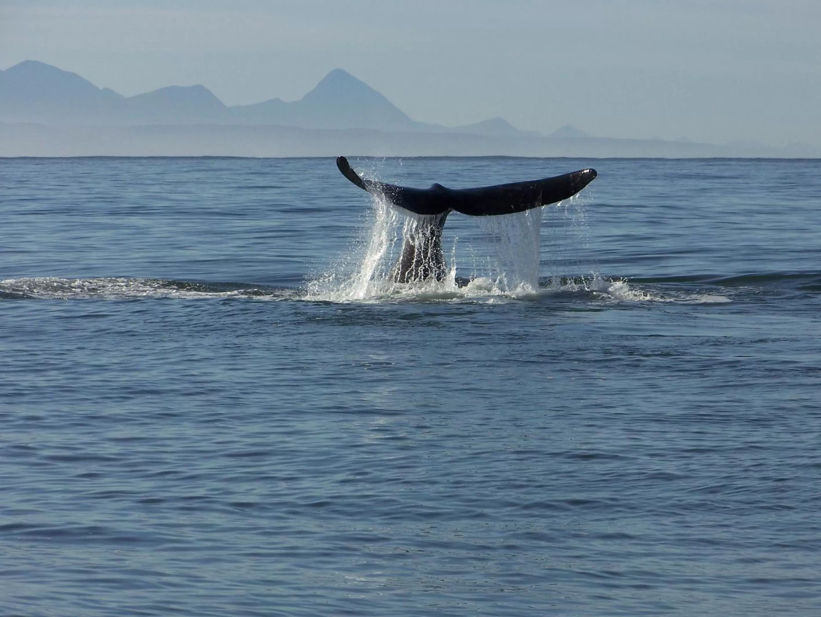 Beach in Tsala Treetop Lodge