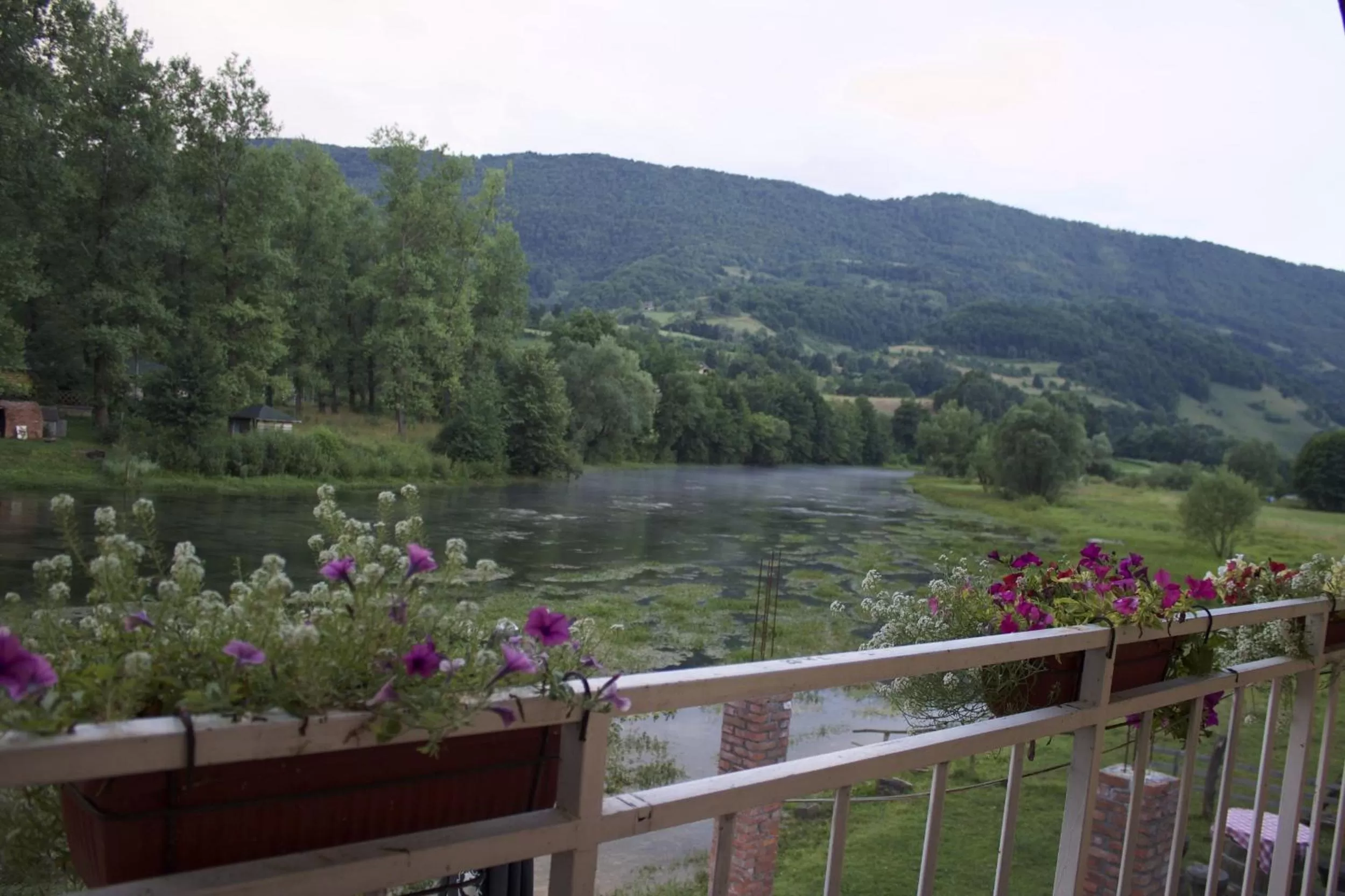 Mountain View in Bed and Breakfast Family Djukic