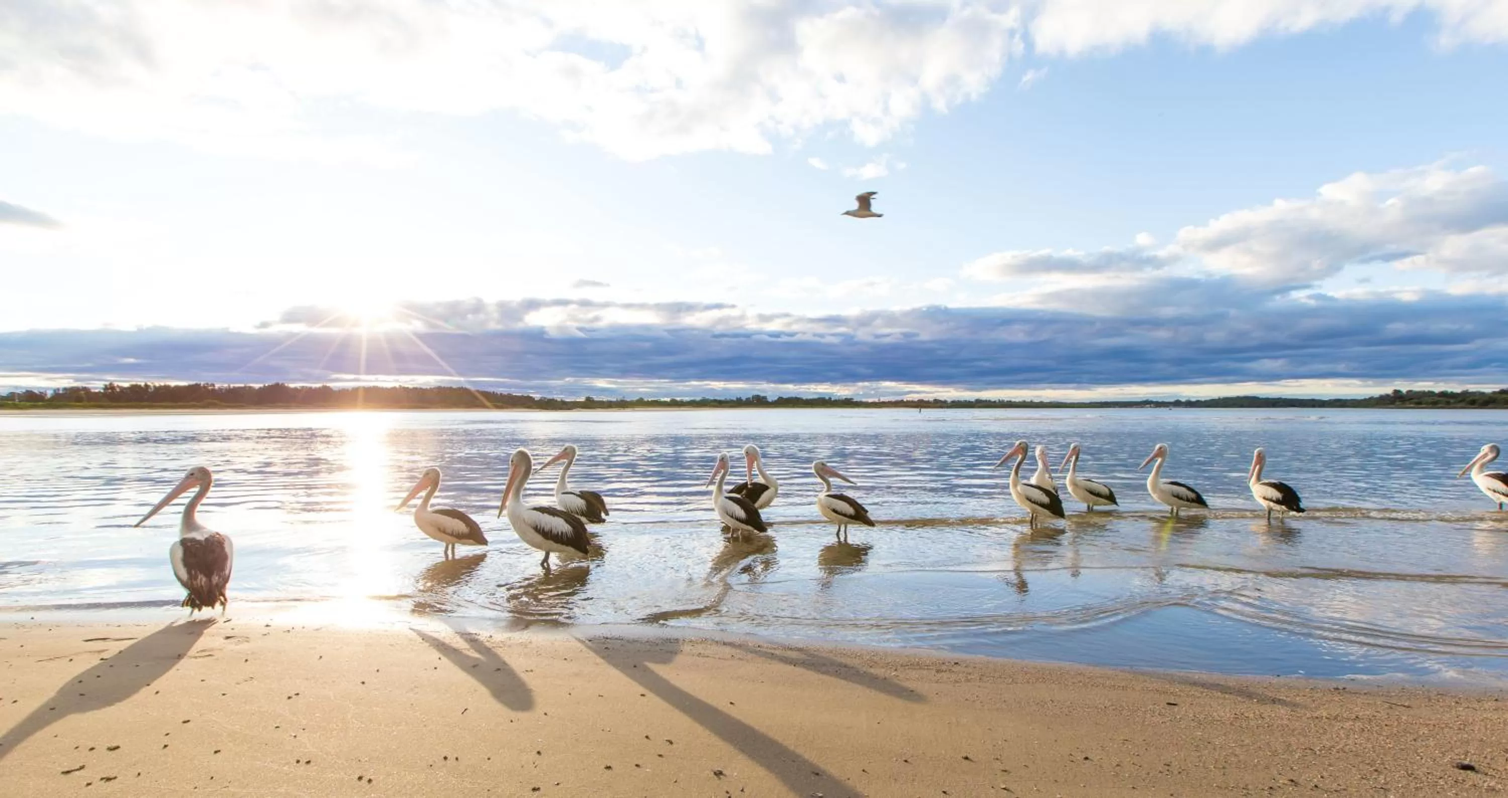 Natural landscape in El Motor Inn