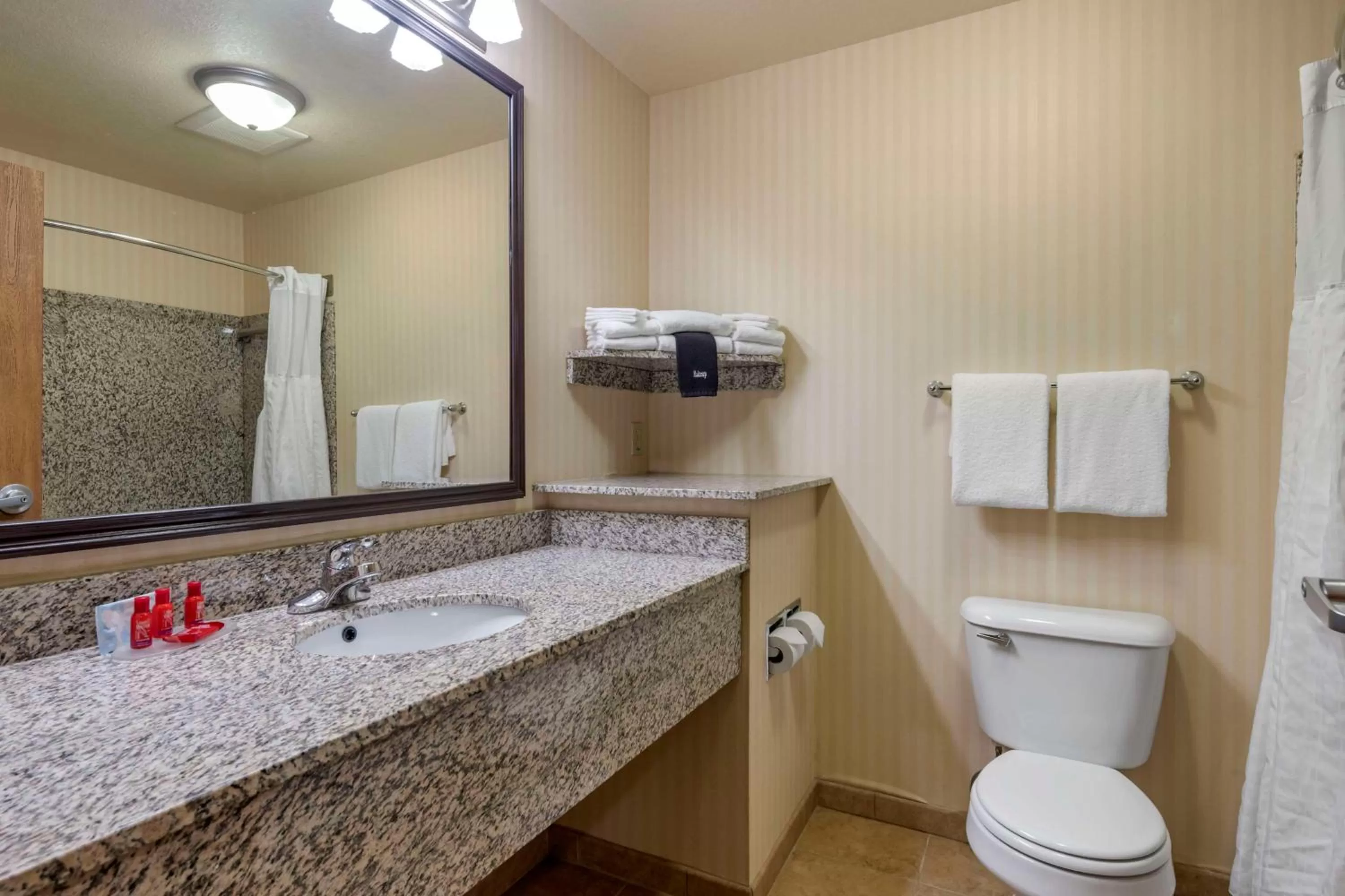 Bathroom in SureStay Plus Hotel by Best Western Buffalo