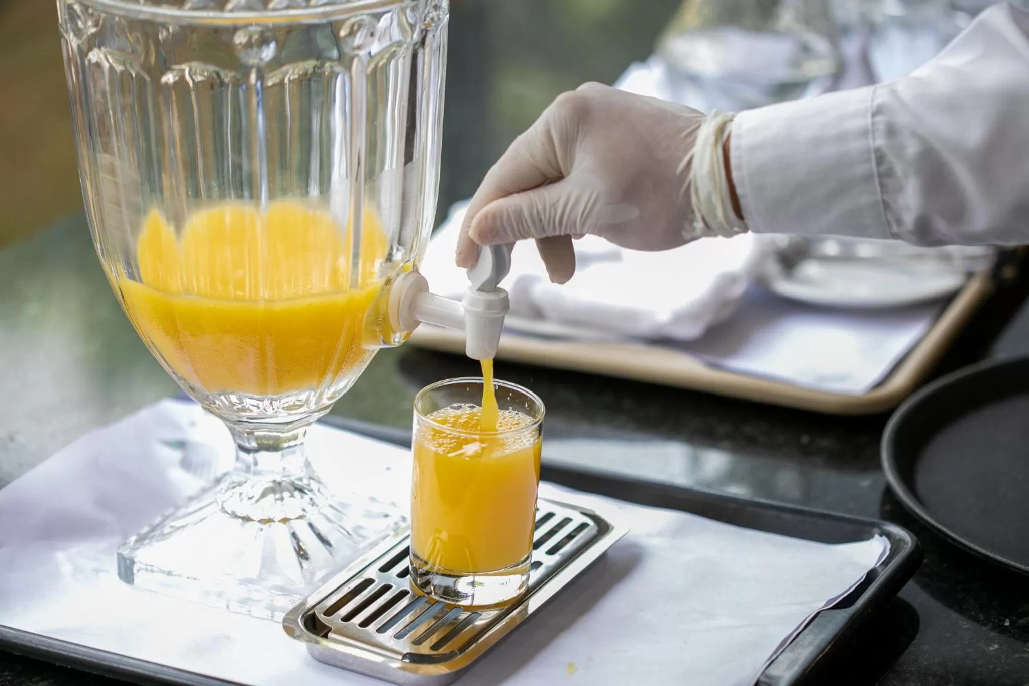 Drinks in Viale Cataratas Hotel & Eventos