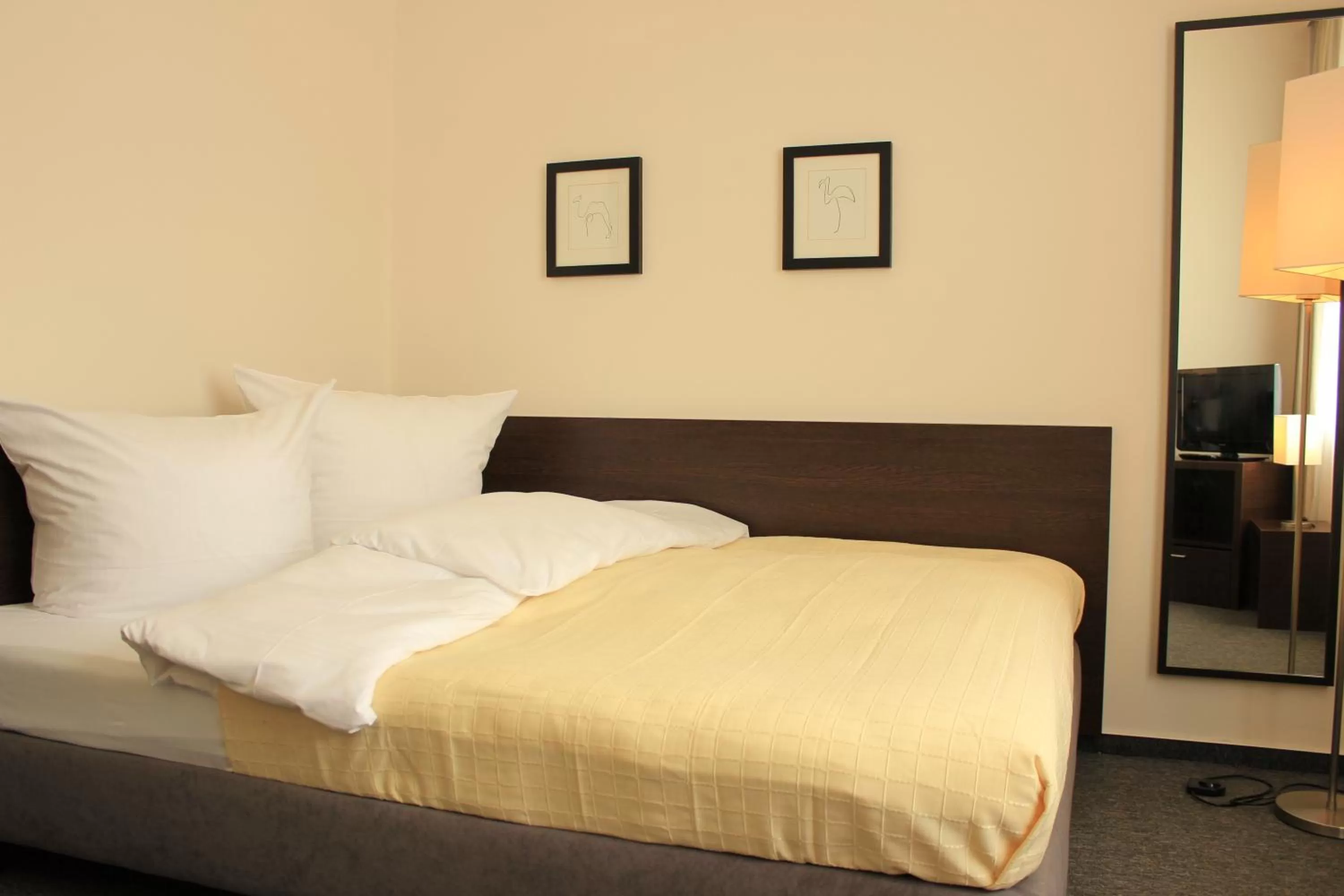 Classic Double Room in Hotel Lützow