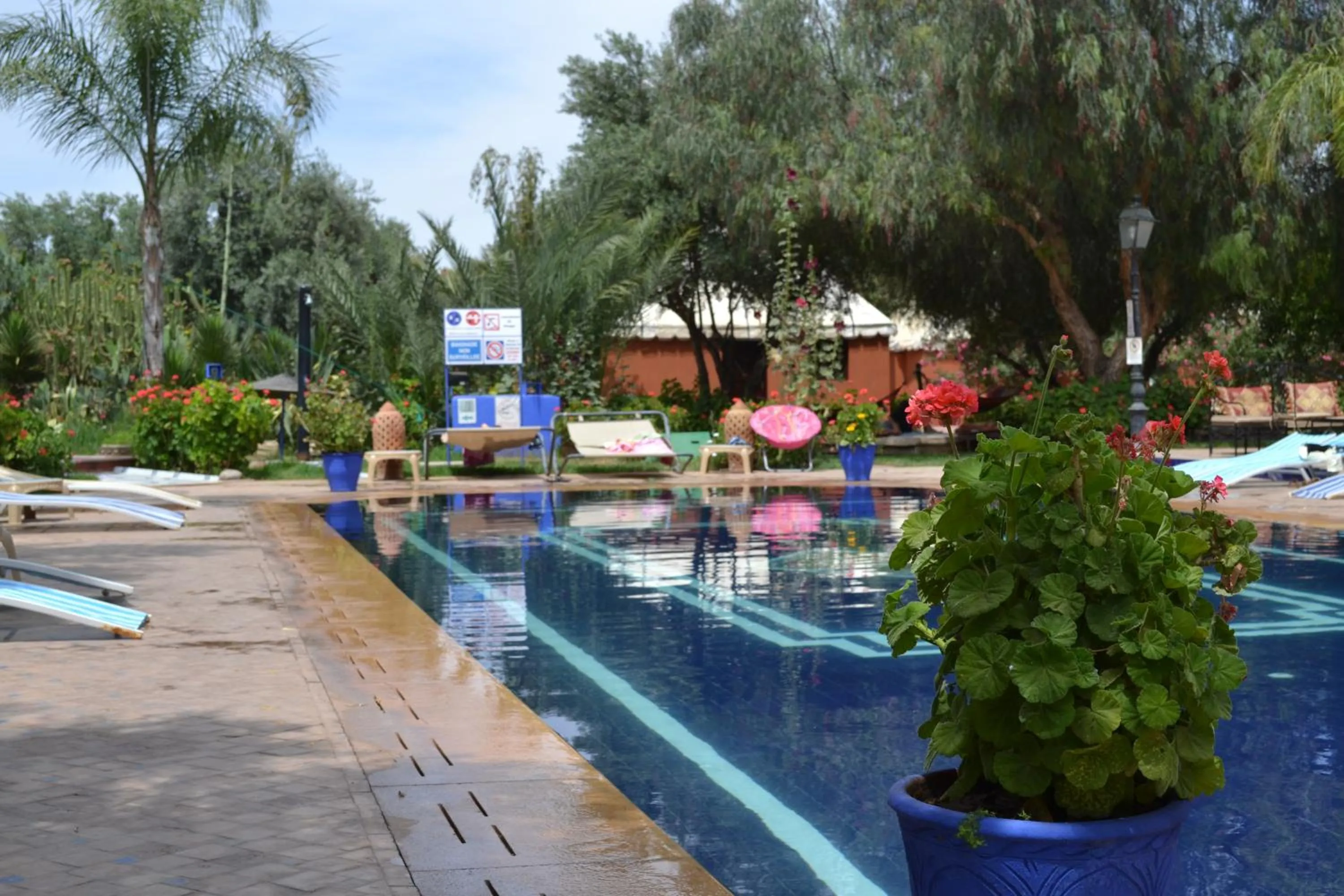 Swimming pool in Le Relais De Marrakech