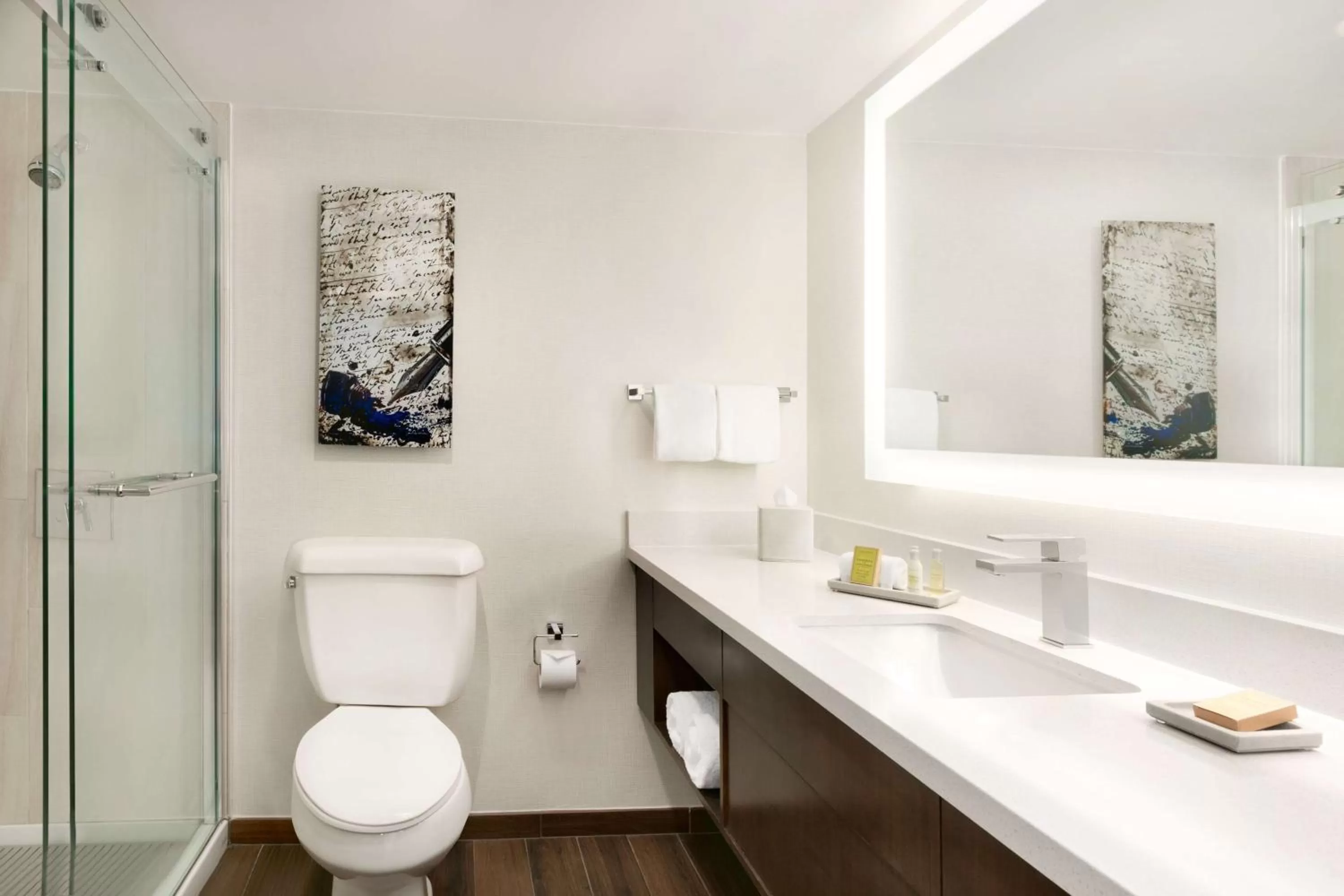 Bathroom in DoubleTree by Hilton McLean Tysons