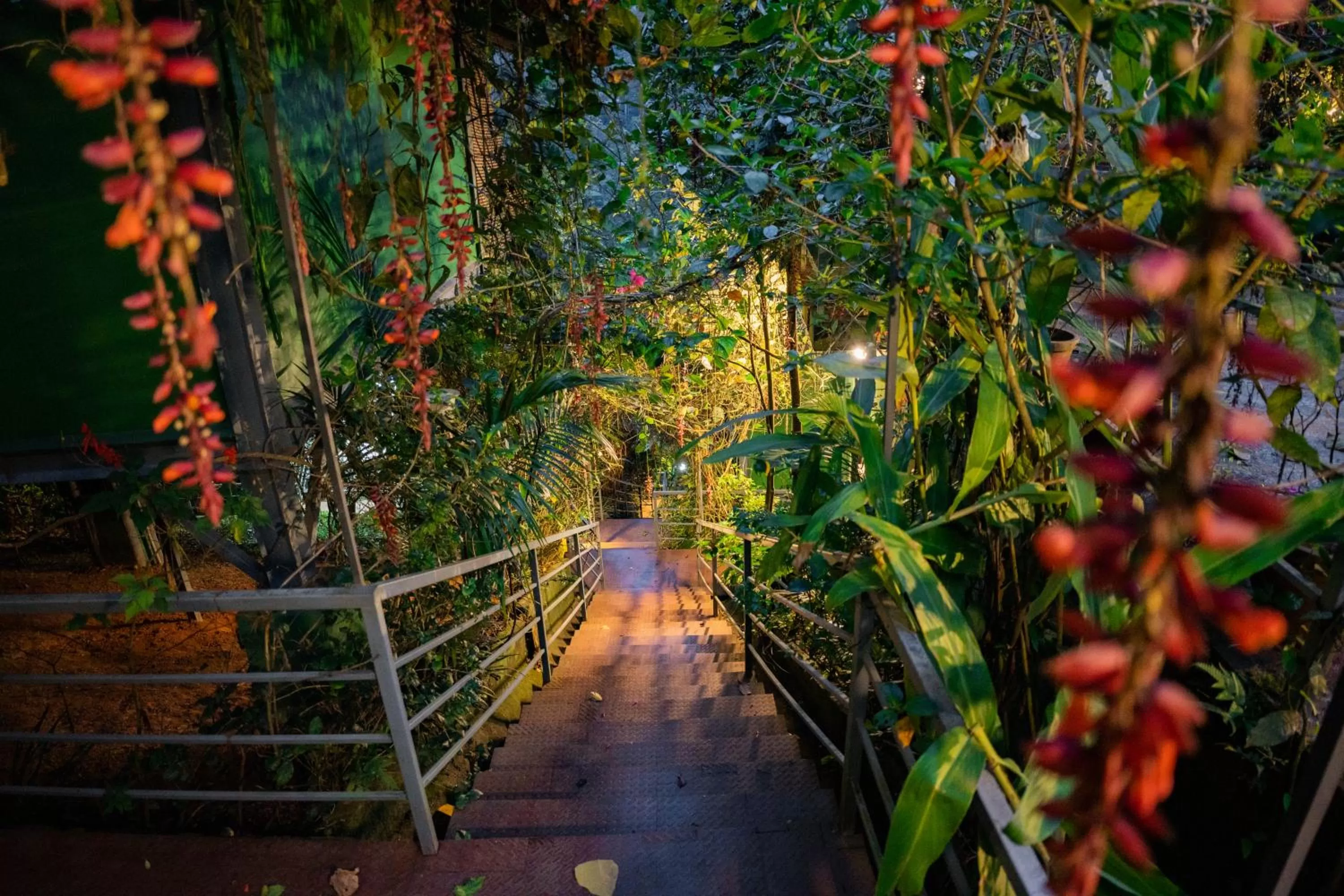 Garden view in Edens Munnar