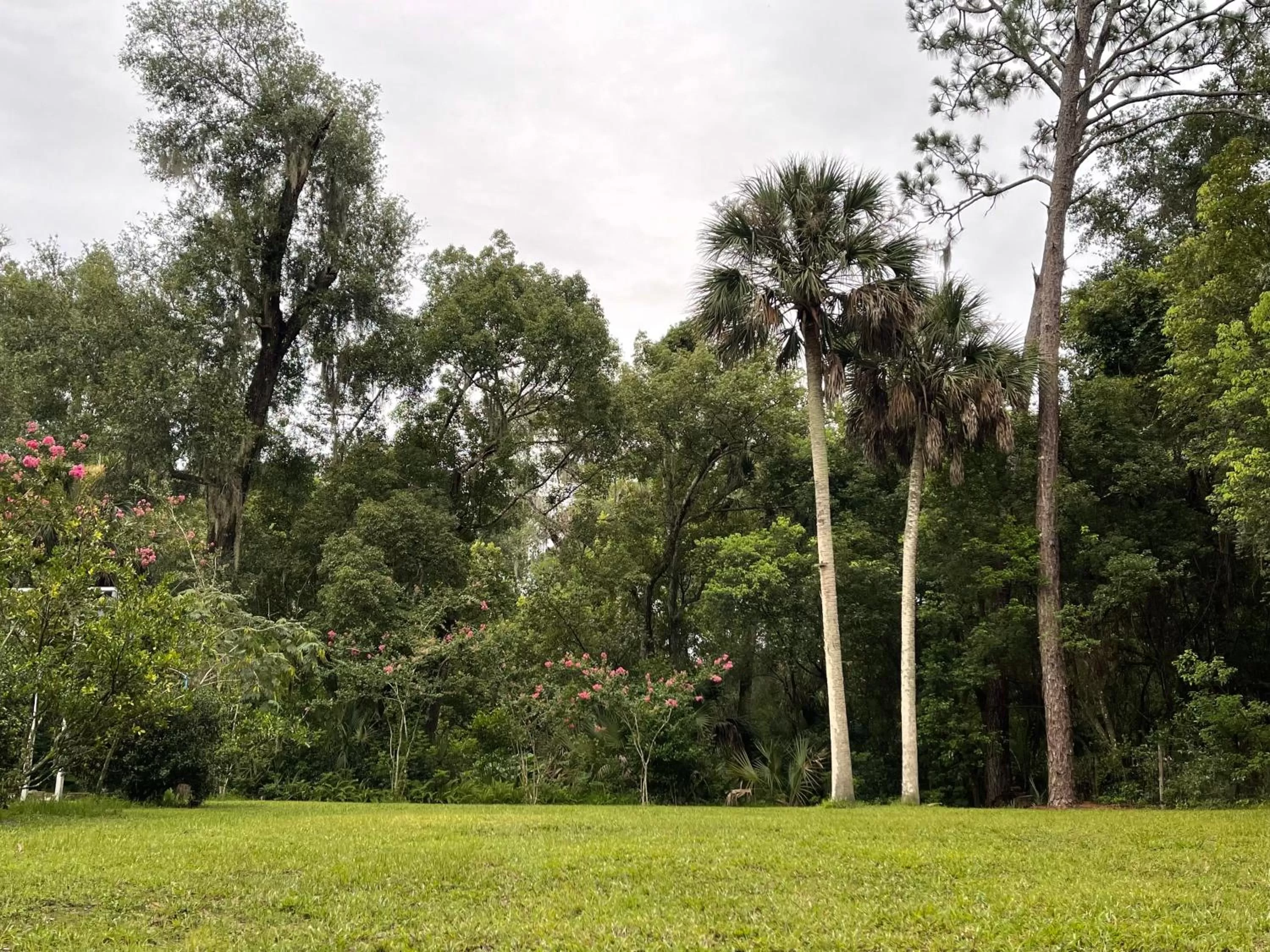 Natural landscape in The Ann Stevens House