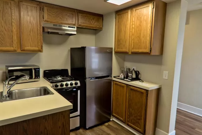 Kitchen or kitchenette in Hotel Leo