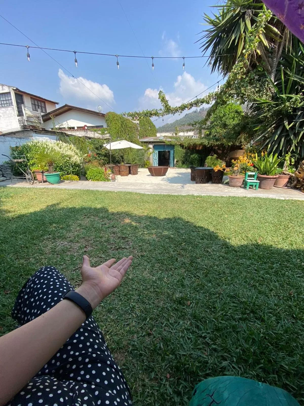 Garden in Hotel Palacio Chico 1948