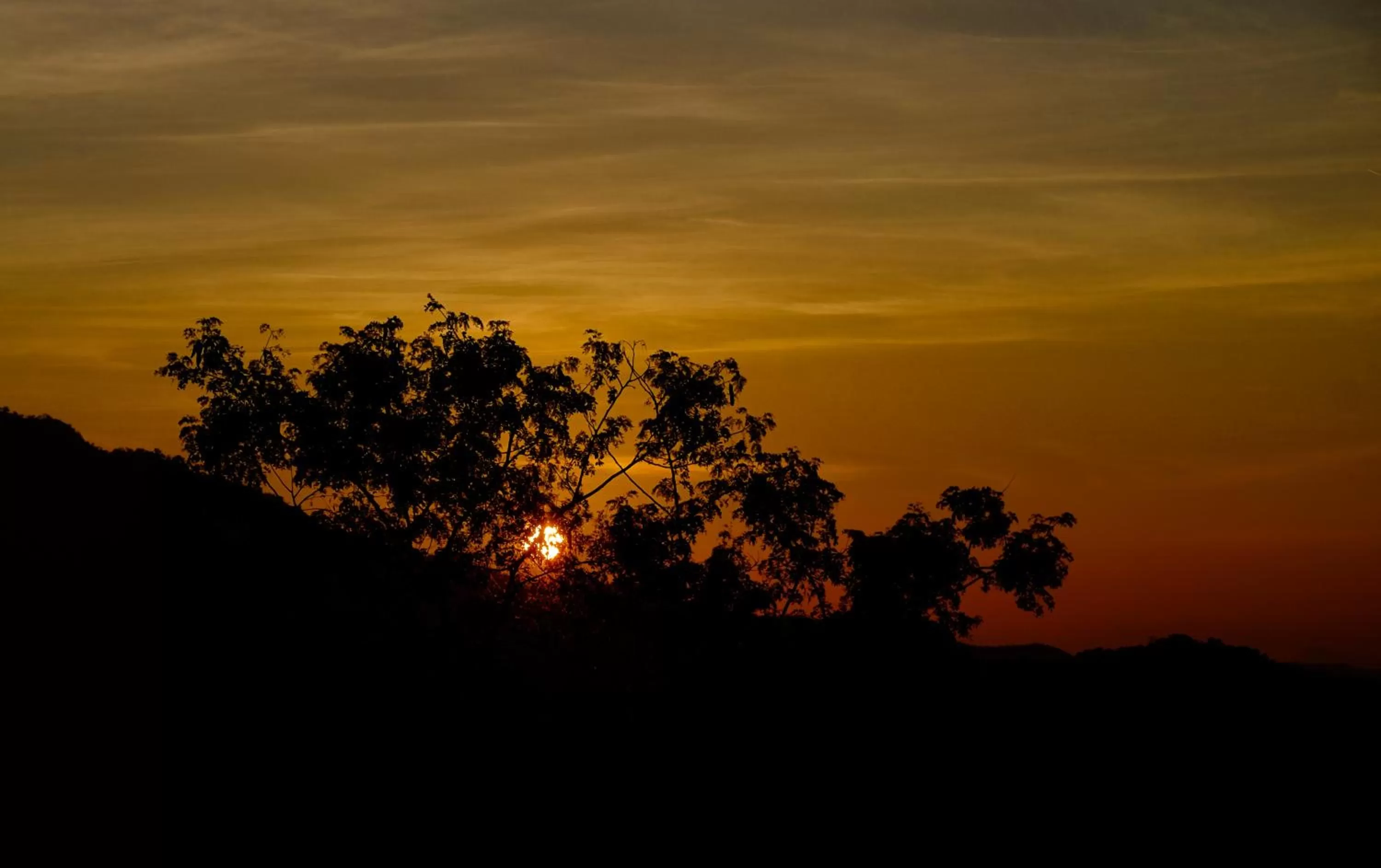 Sunrise in Ella Planters Bungalow