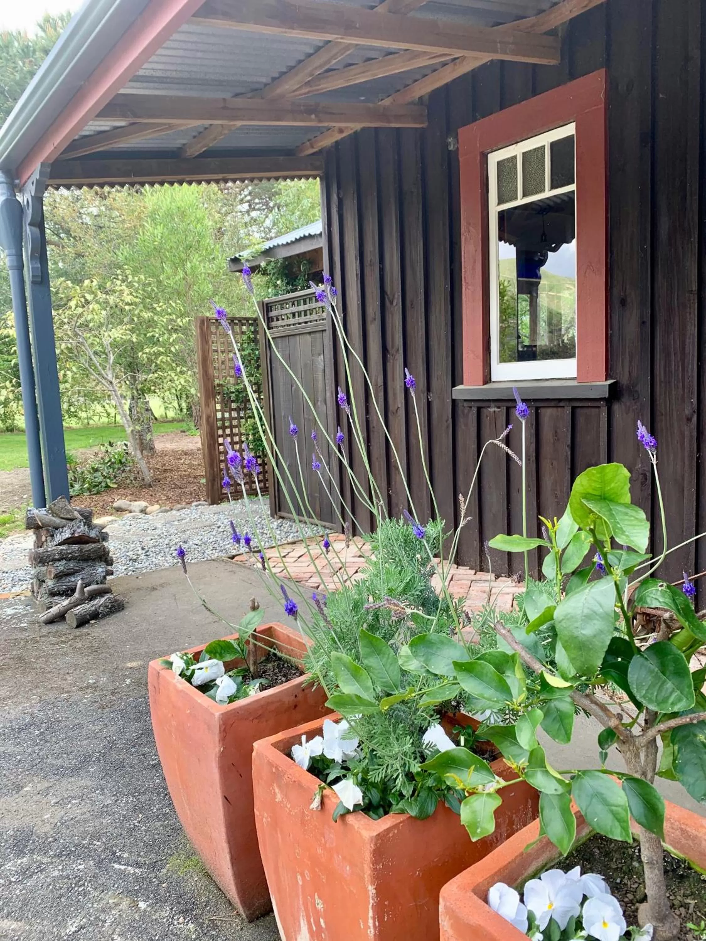 Facade/entrance in Quail Farm, Colonial charm