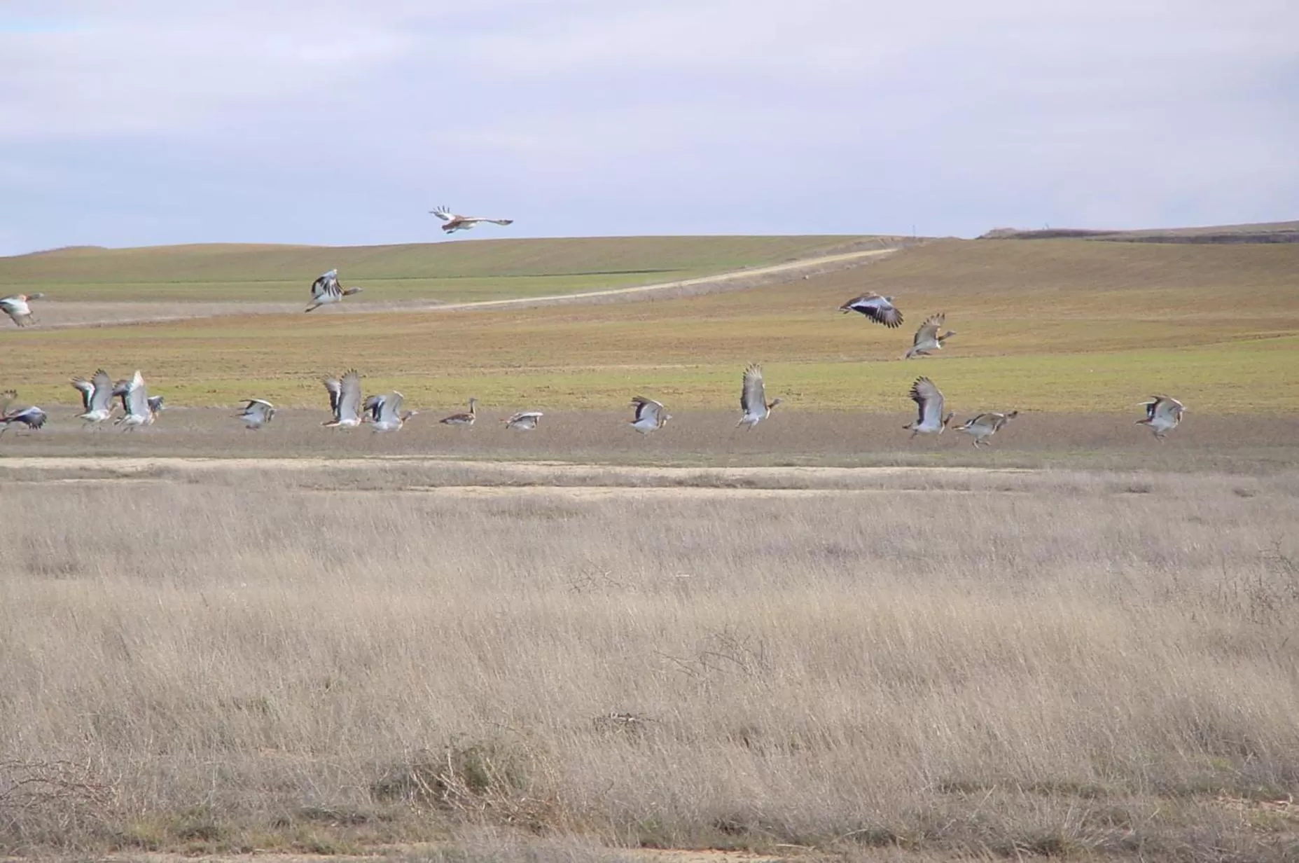 Nearby landmark in Hostal Athlanta