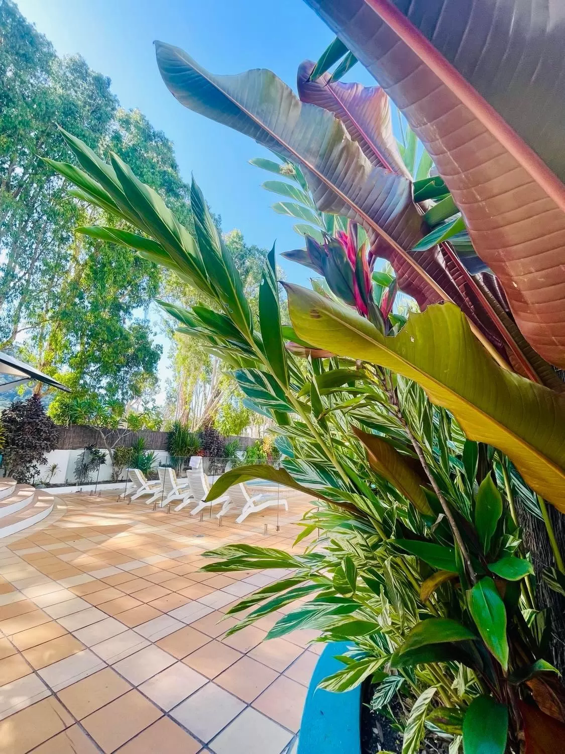 Garden in BeachView Apartments at Villa Paradiso