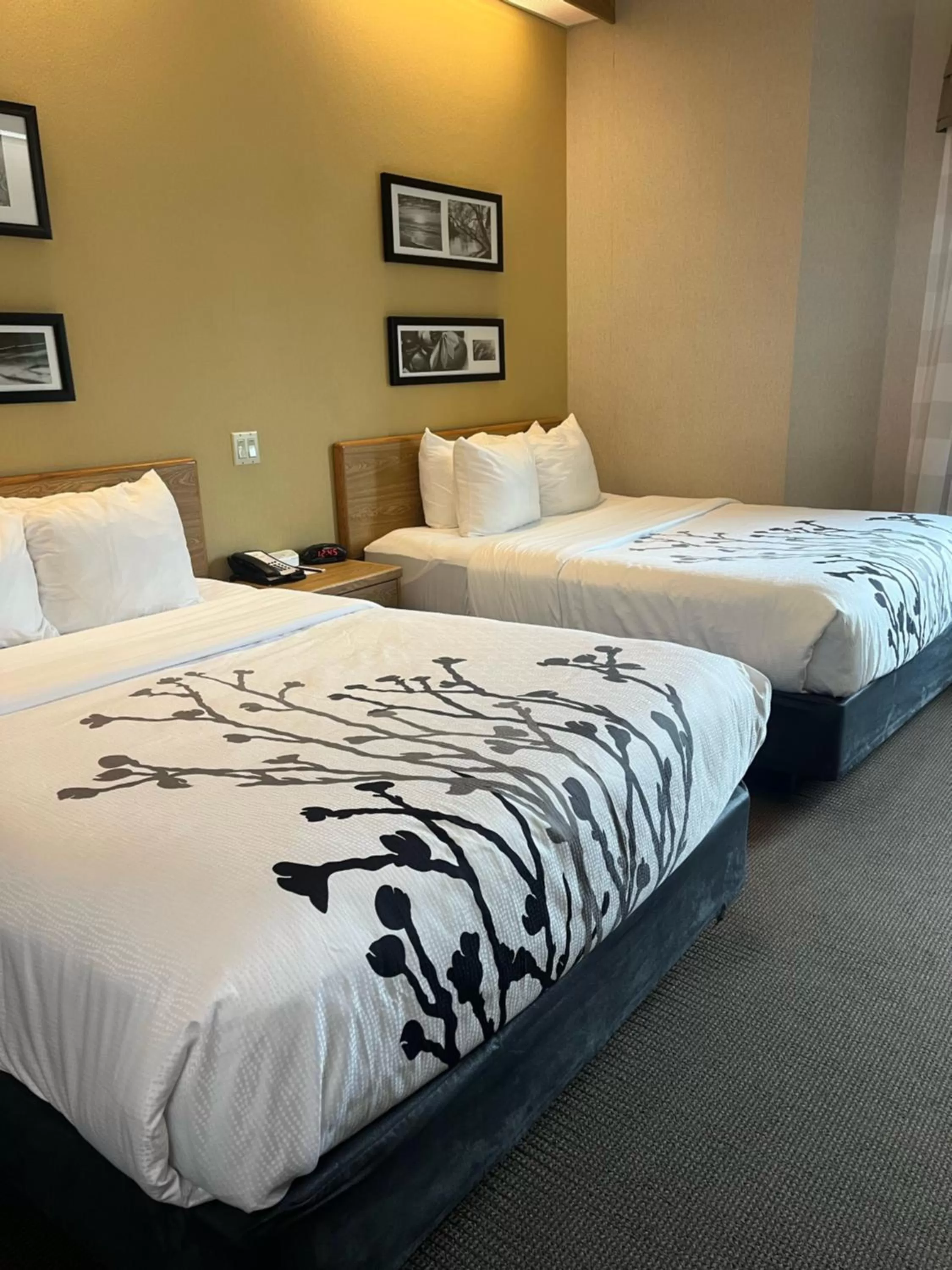 Bed in Sleep Inn Lynchburg - University Area & Hwy 460