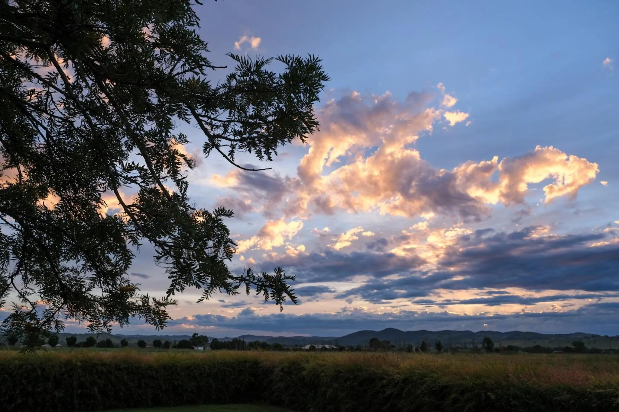 View (from property/room) in Owl Head Lodge