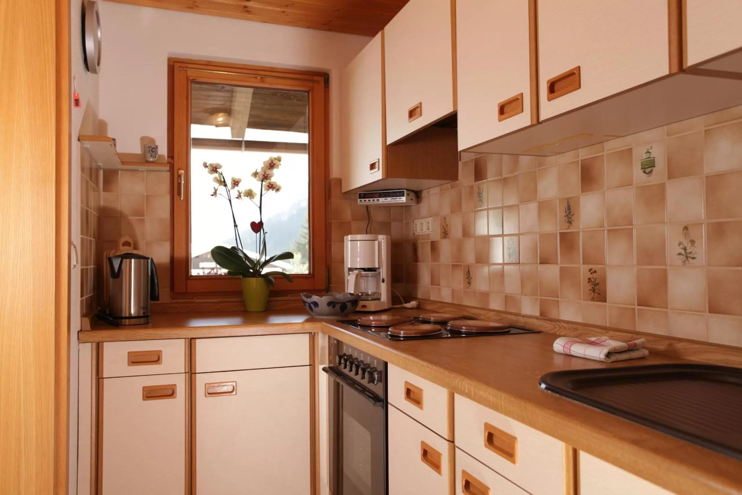 Kitchen or kitchenette in Haus Derra