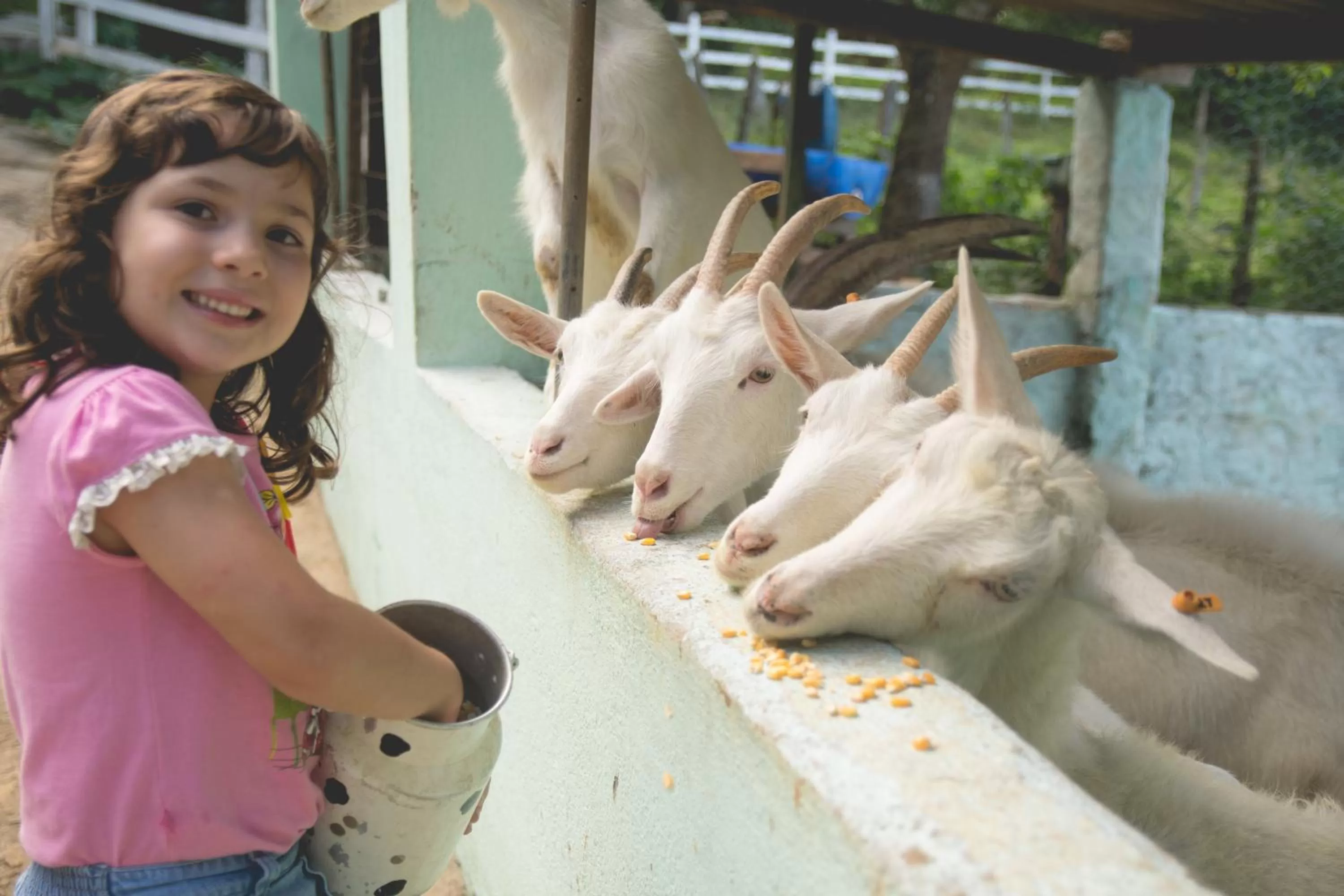 Property building in Lagoa Seca Hotel Rural