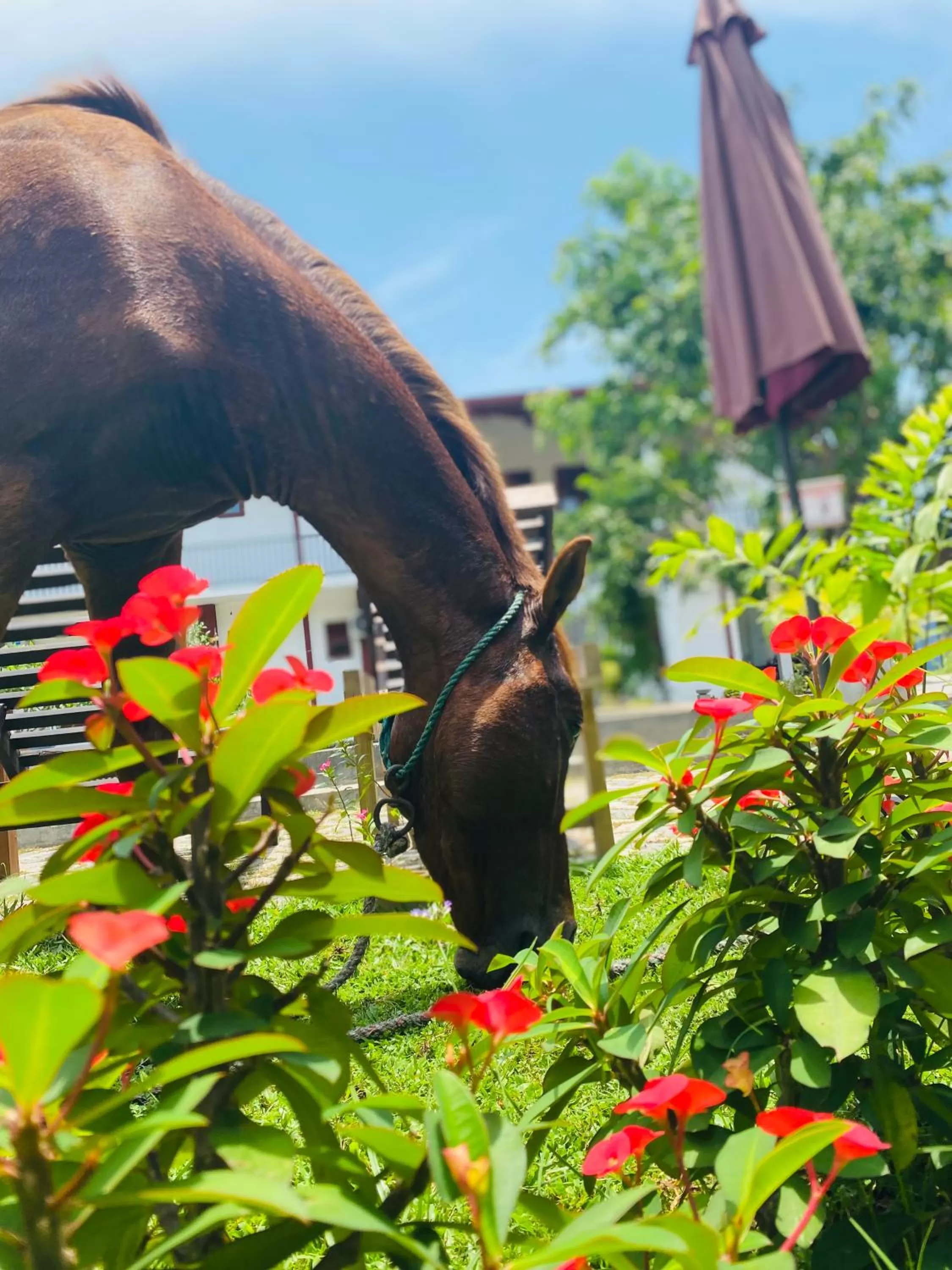 The Kingslayer Resort