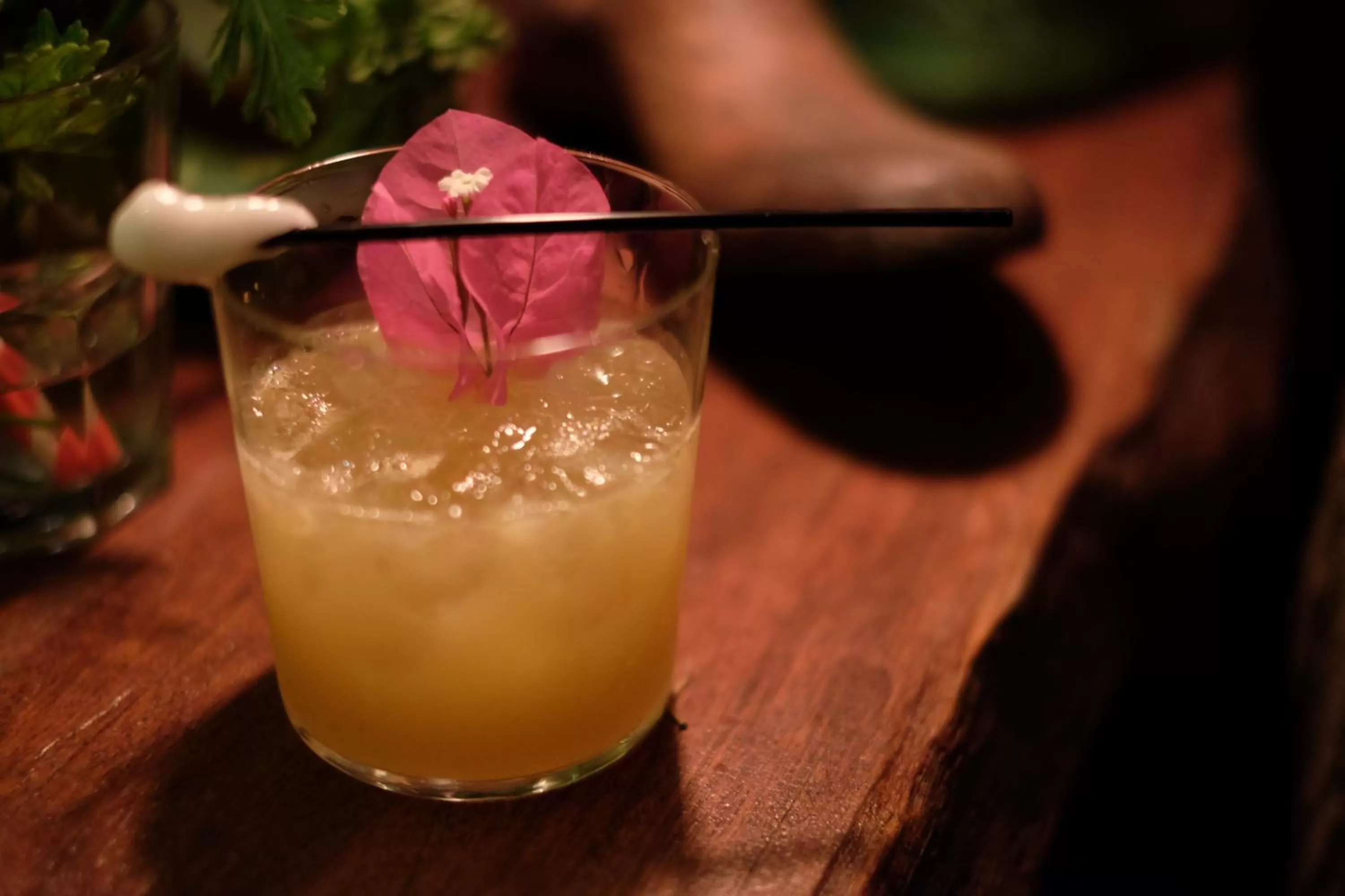 Lounge or bar, Drinks in Ha La Bodrum