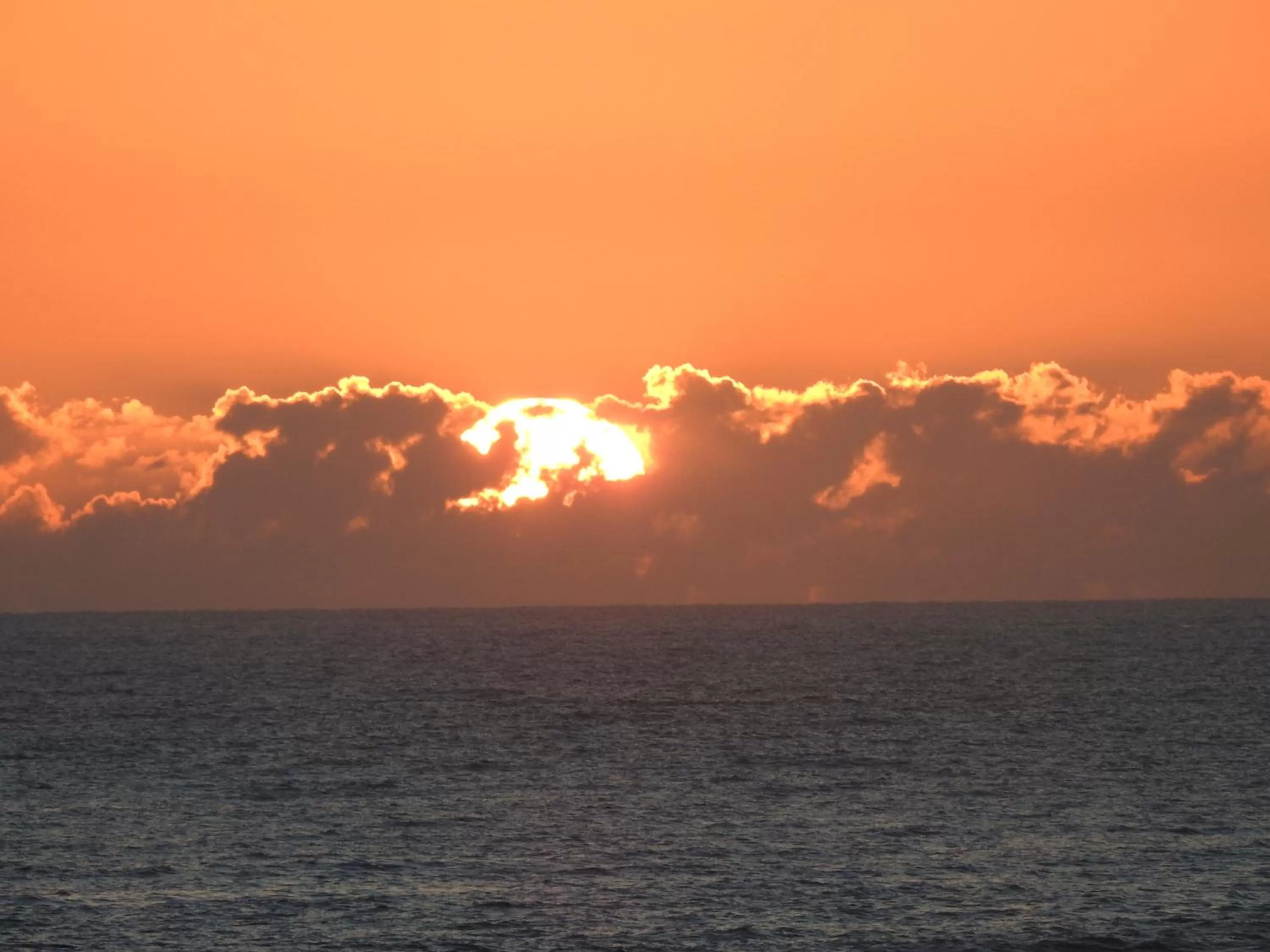 Sea view in Albatross North Apartments