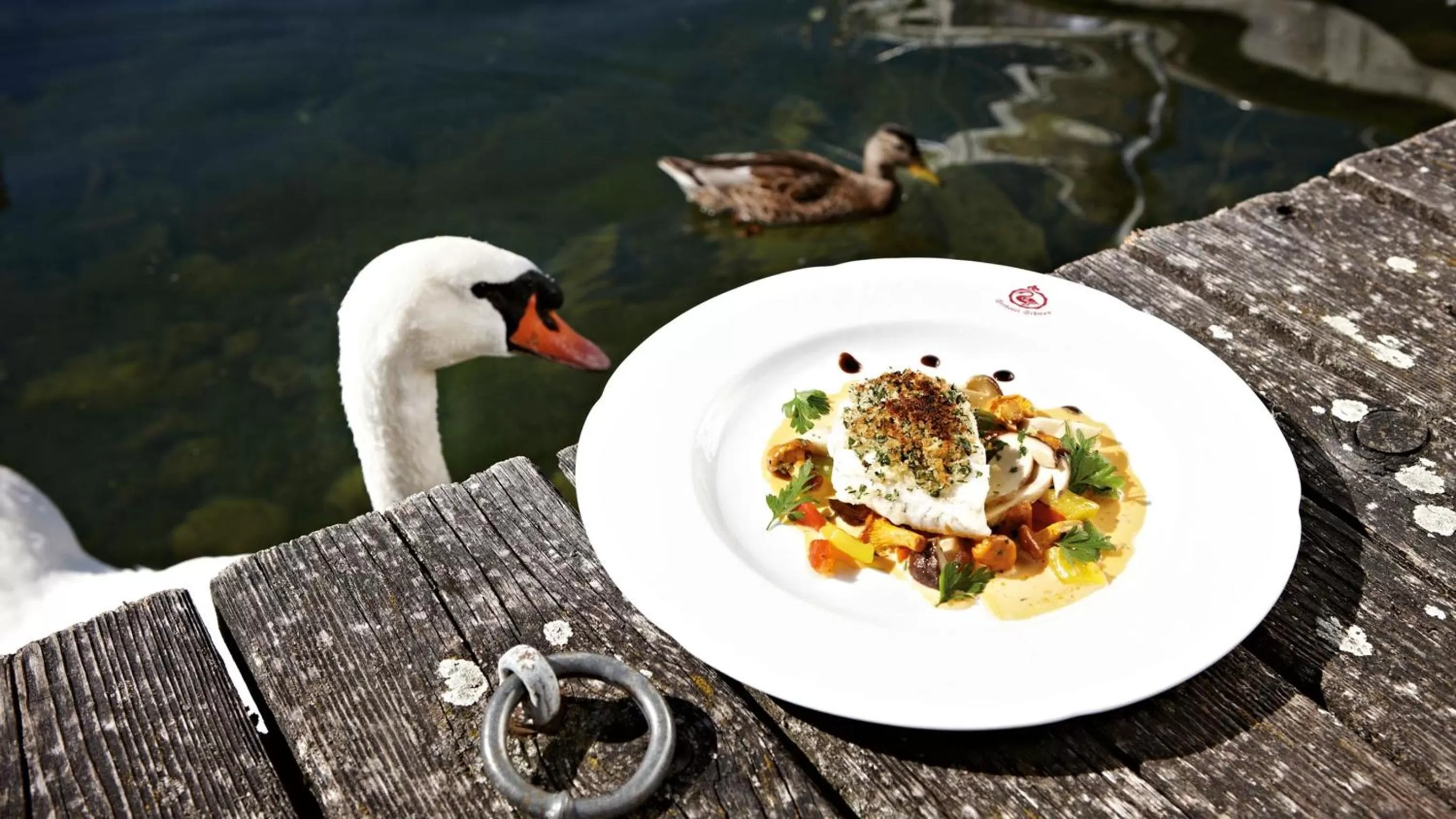 Food in Seehotel Schwan