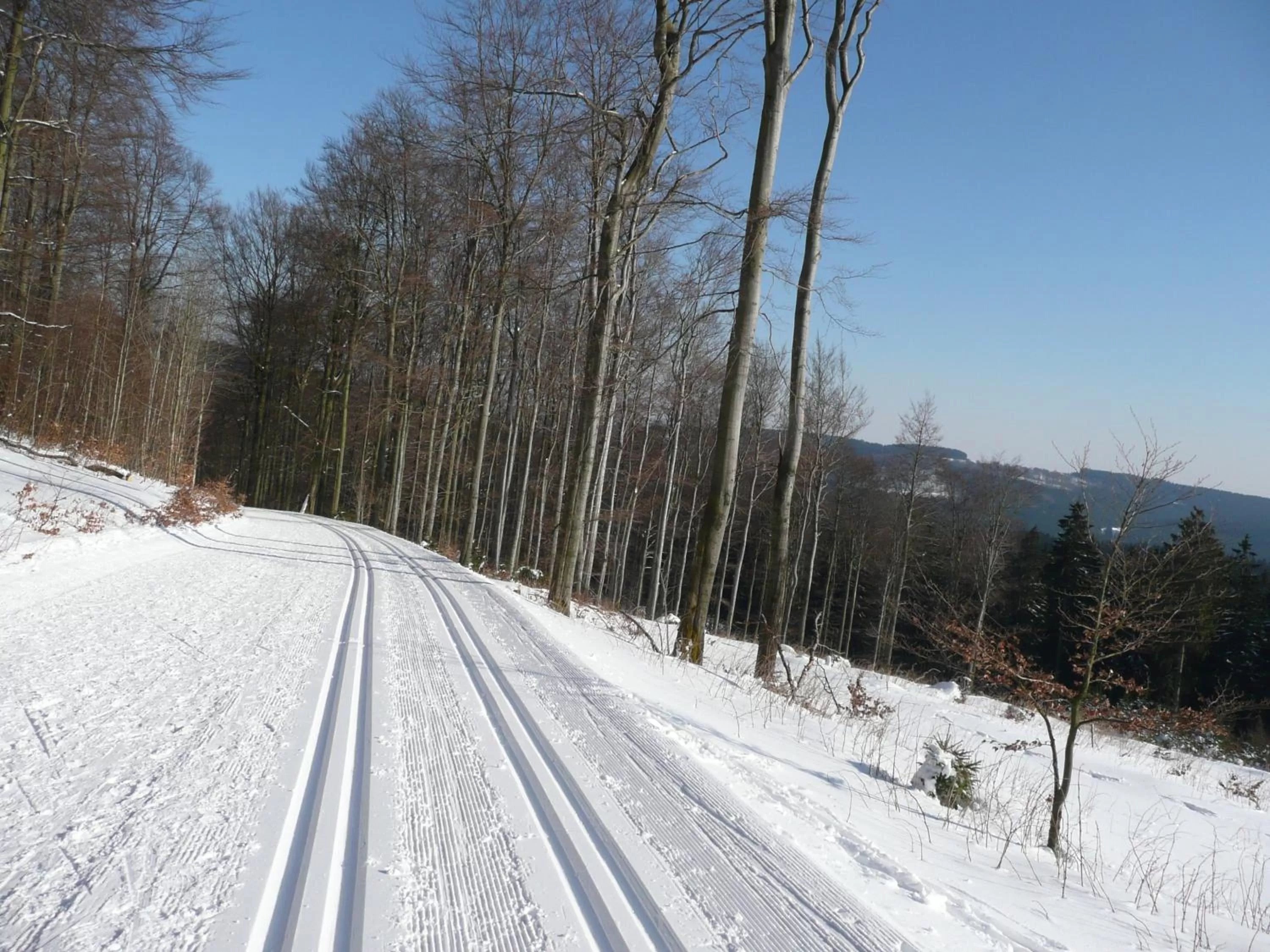 Skiing in Hotel Goldflair am Rathaus
