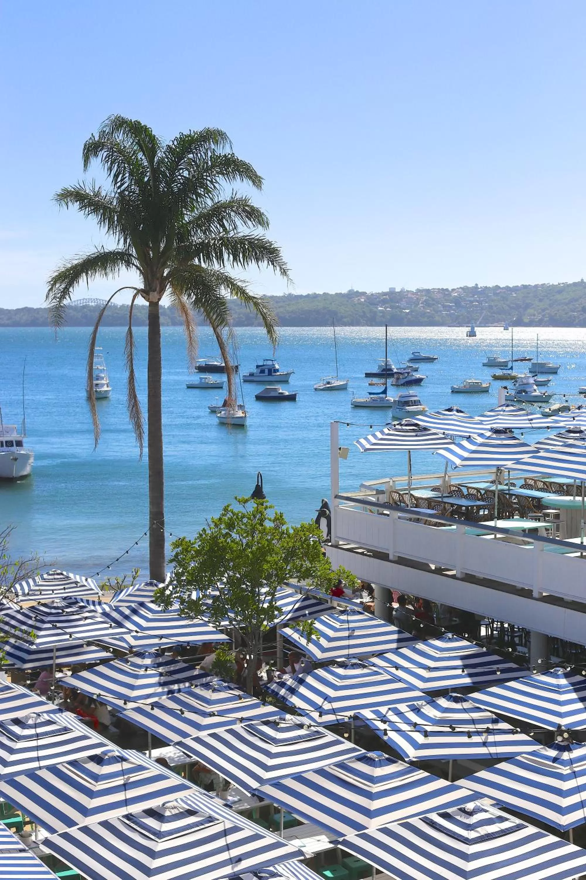 Day in Watsons Bay Boutique Hotel