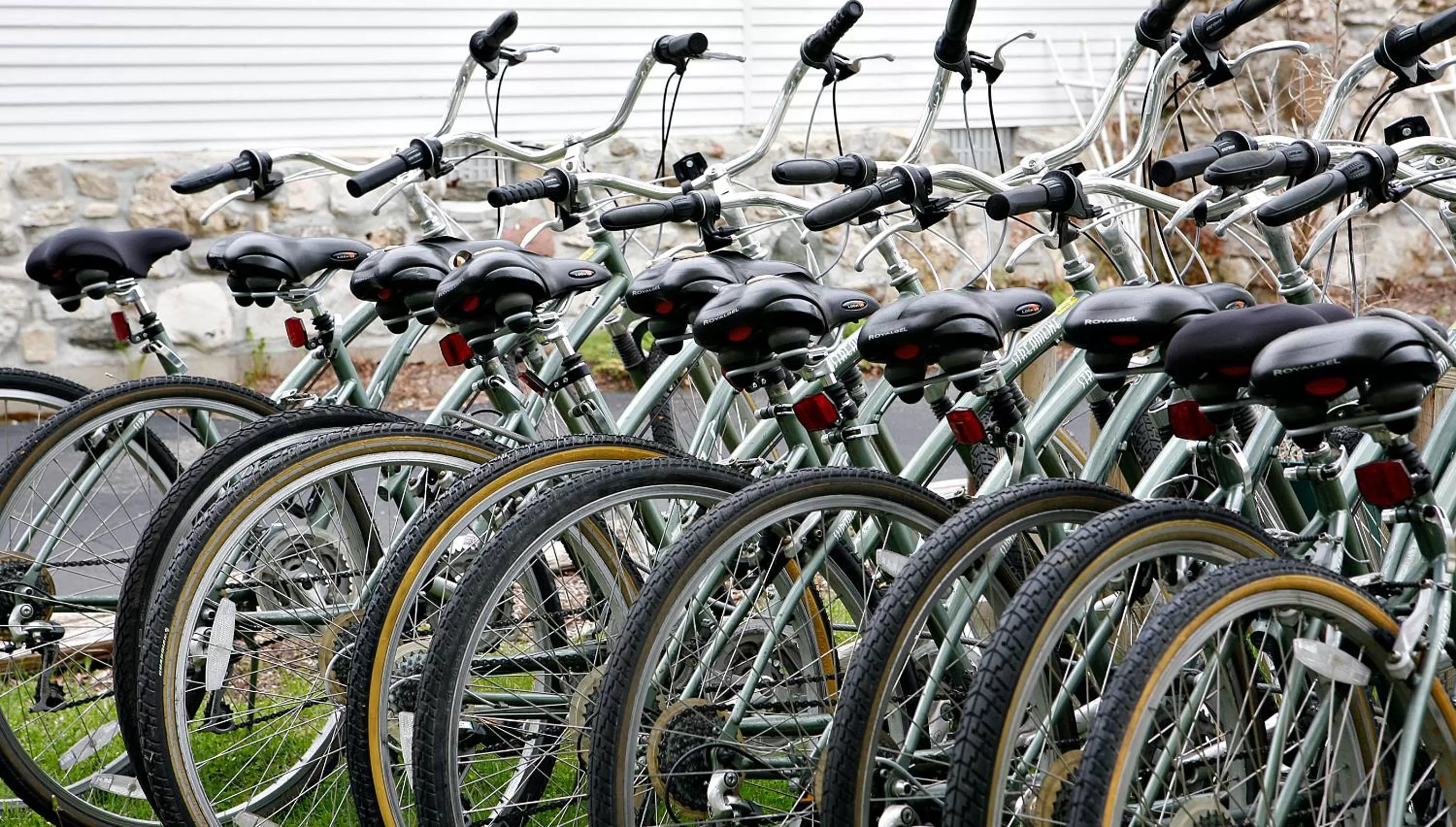 Cycling in Peninsula Park-View Resort