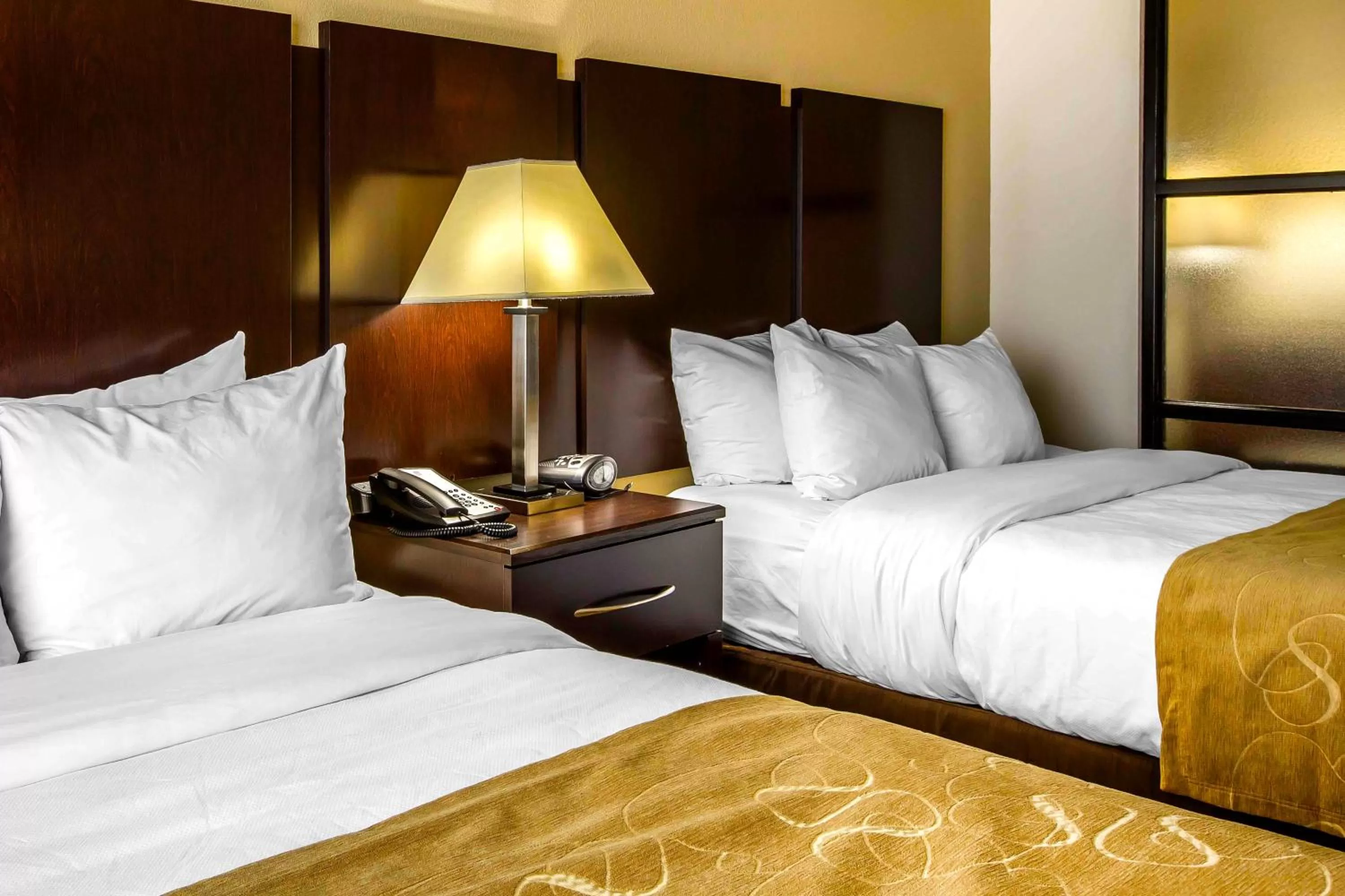 Queen Suite - Disability Access/Non-Smoking in Comfort Suites Byron Warner Robins