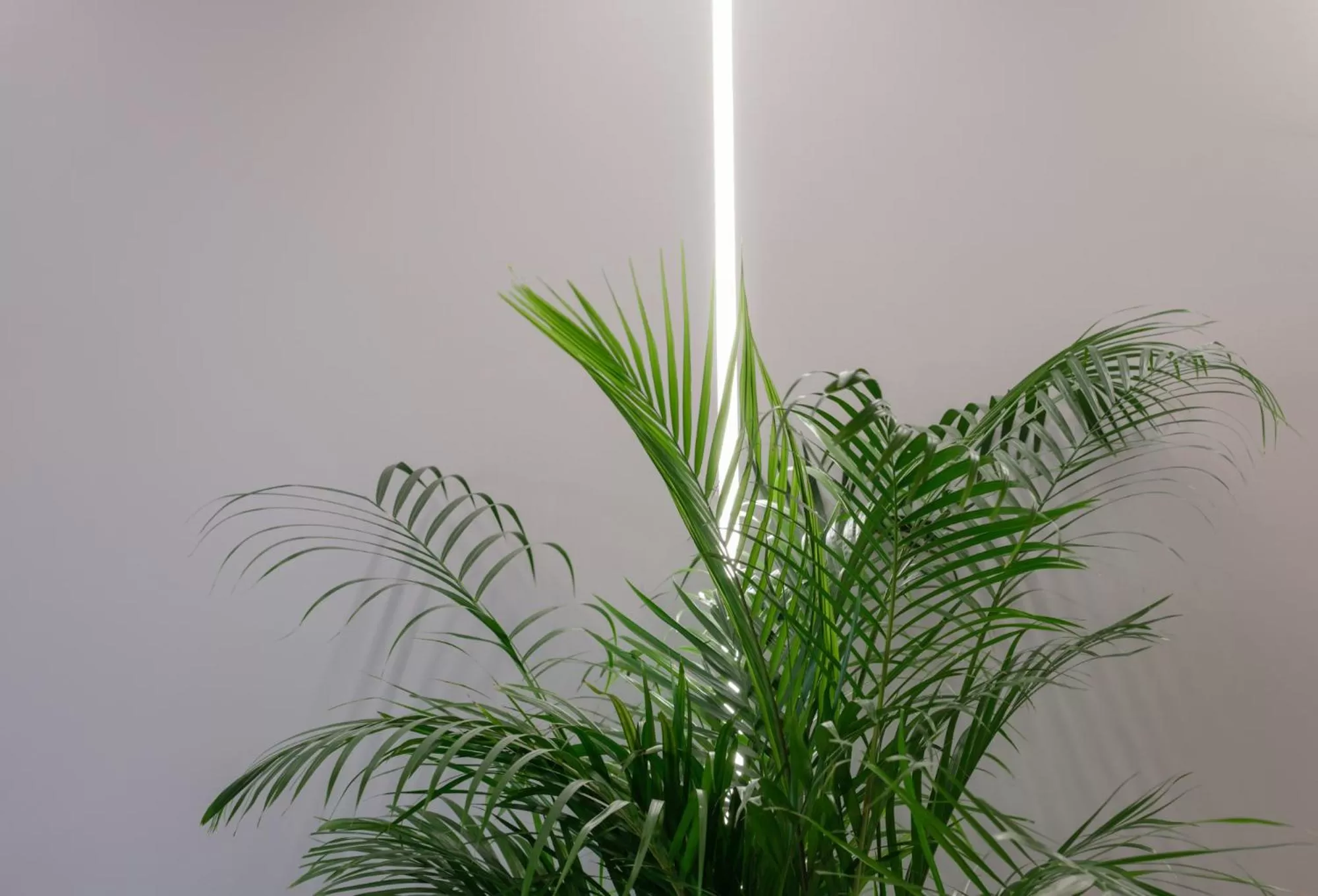 Decorative detail in Golden Island Resorts