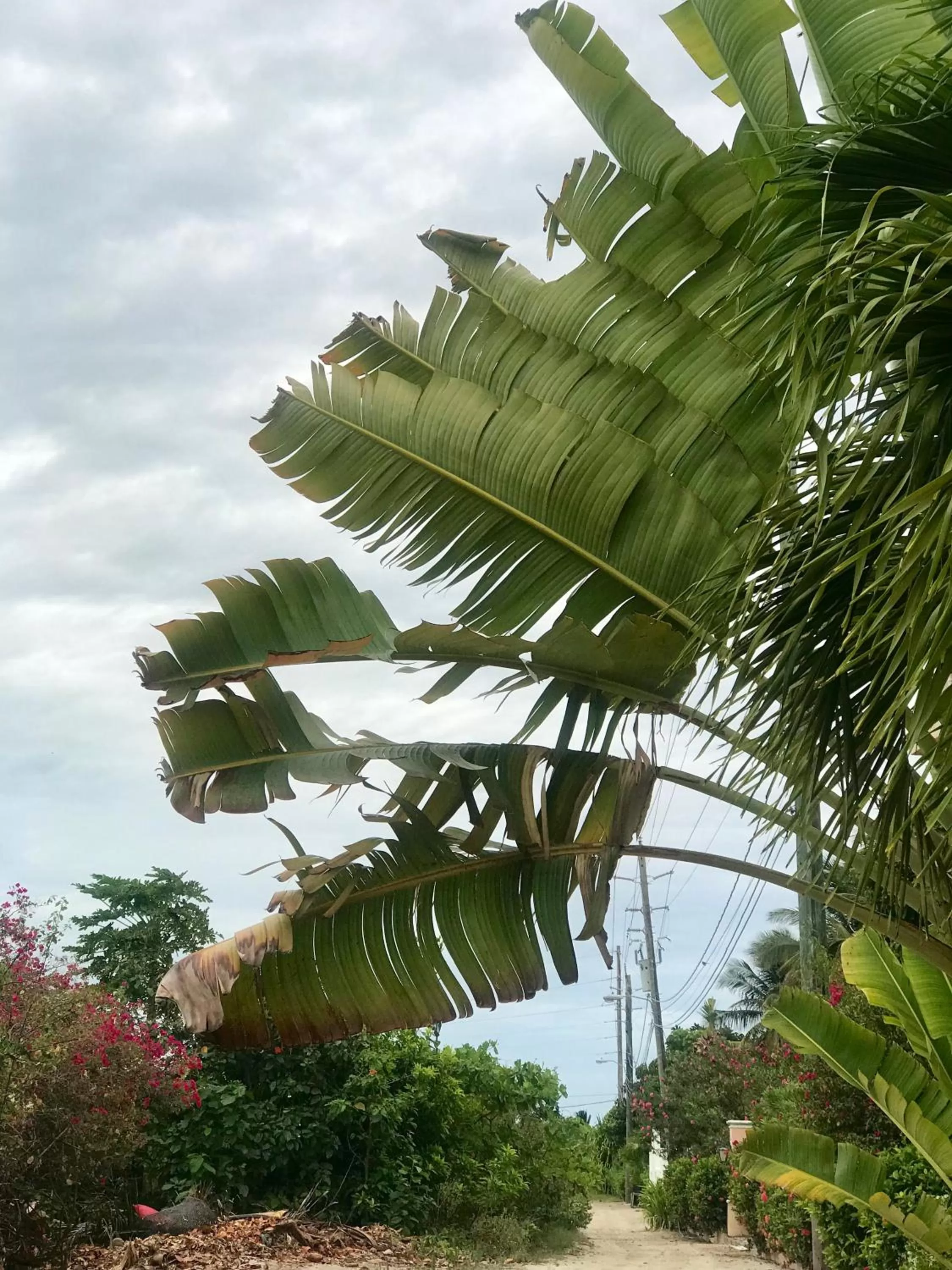 Day in La Casa de Paz Hotel