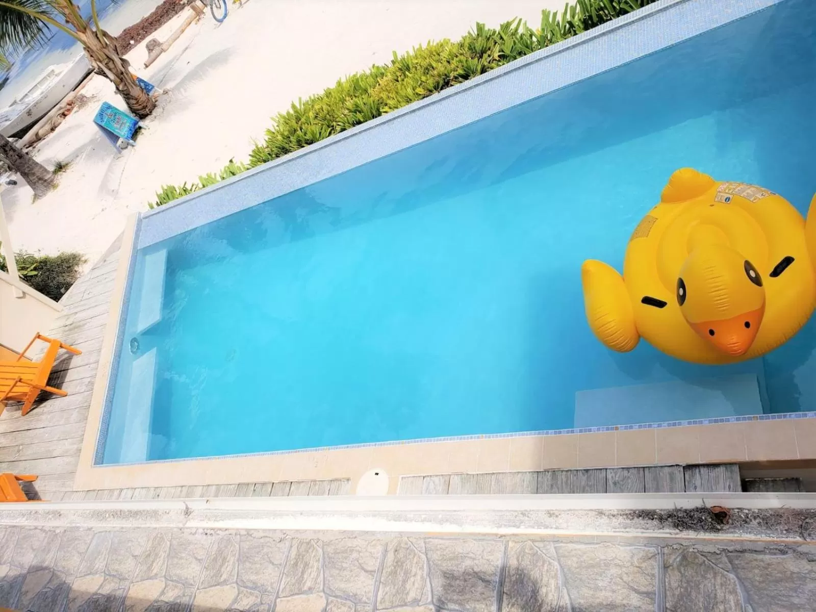 Swimming Pool in Beach Side Condos Caye Caulker by CCVH