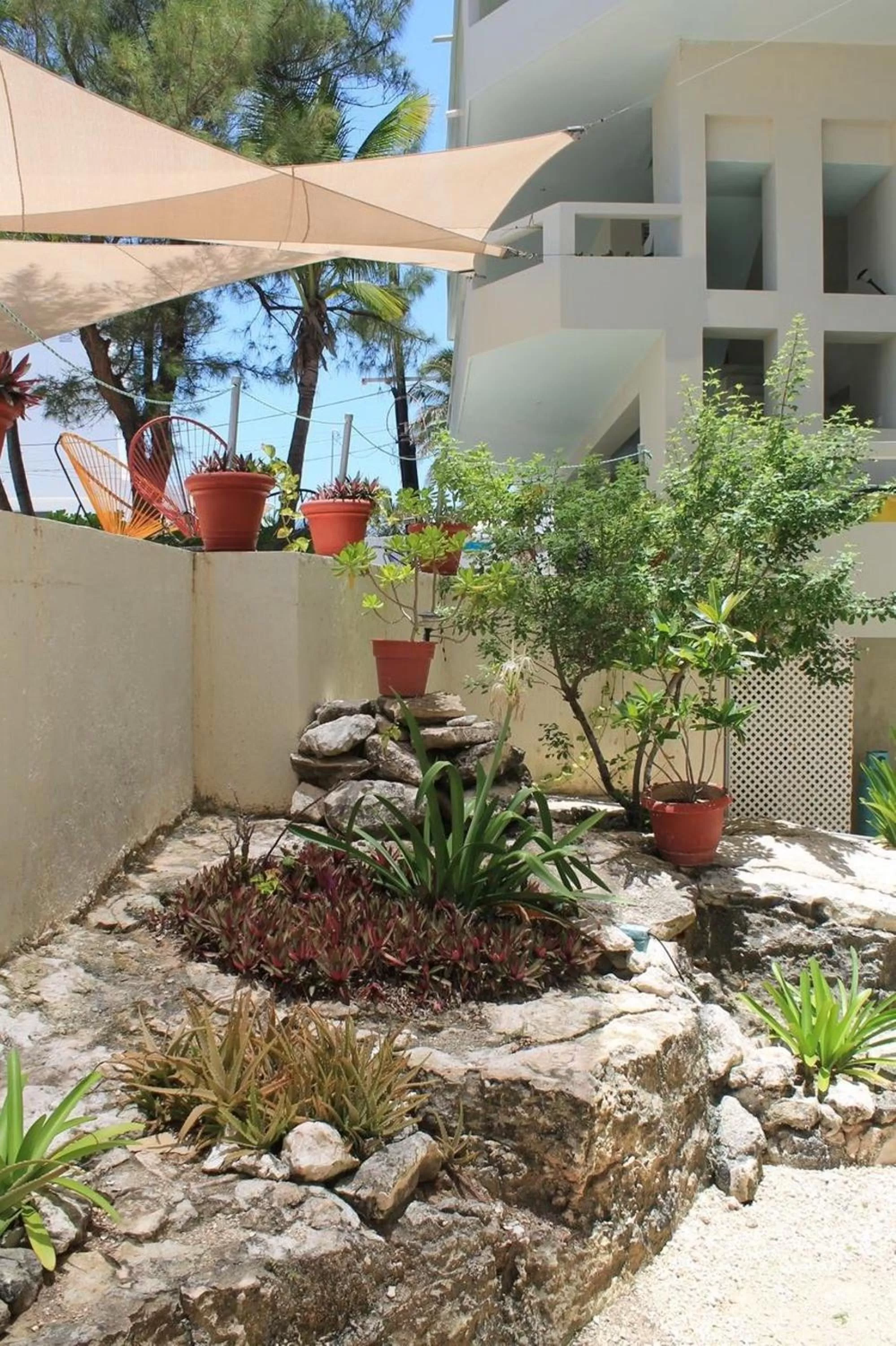 Area and facilities in Rocamar Hotel Isla Mujeres