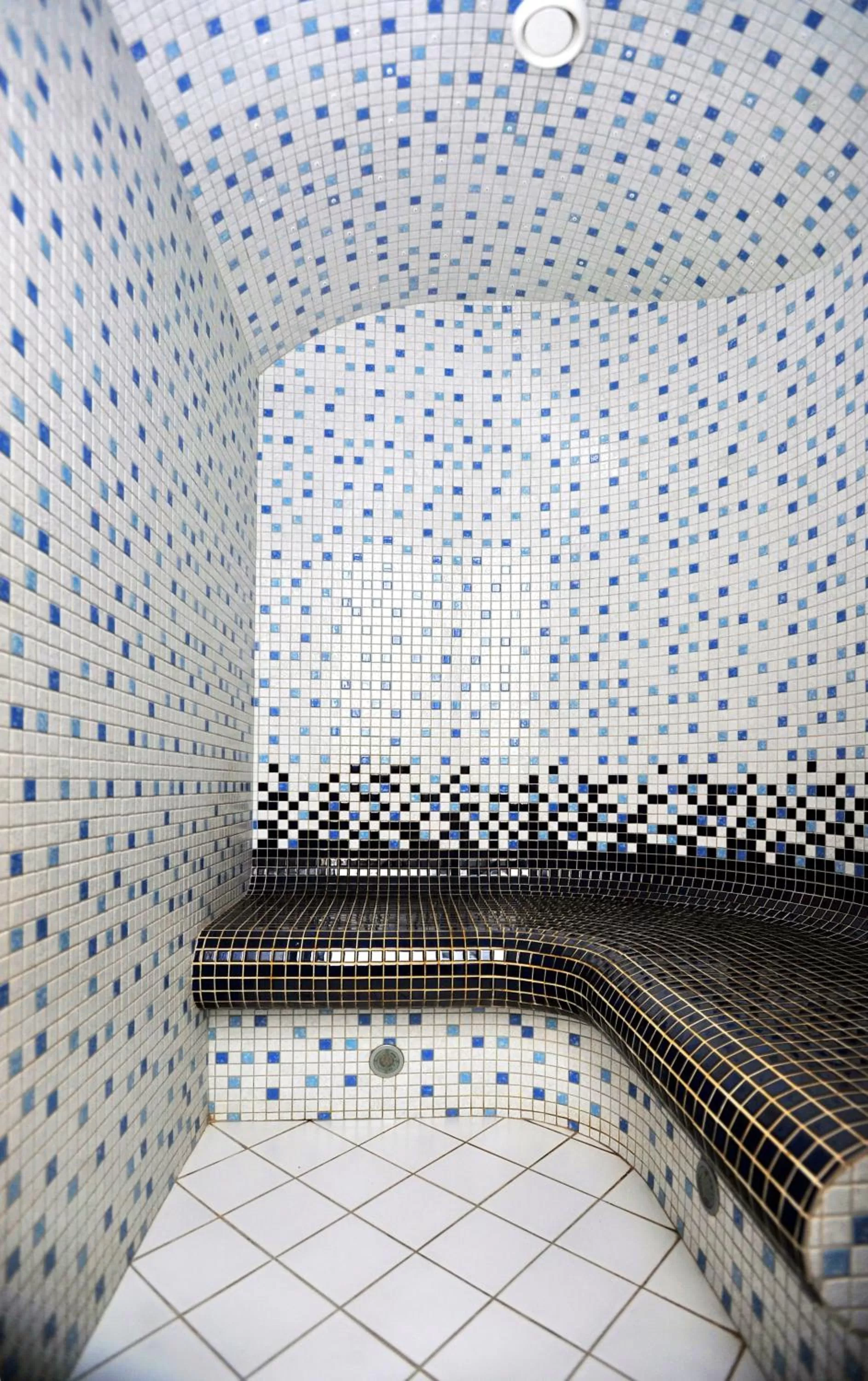 Spa and wellness centre/facilities in MERCURE KLAIPEDA CITY HOTEL, Meetings, Events, Restaurant & Bar - Accor Group, Pet Stay FREE