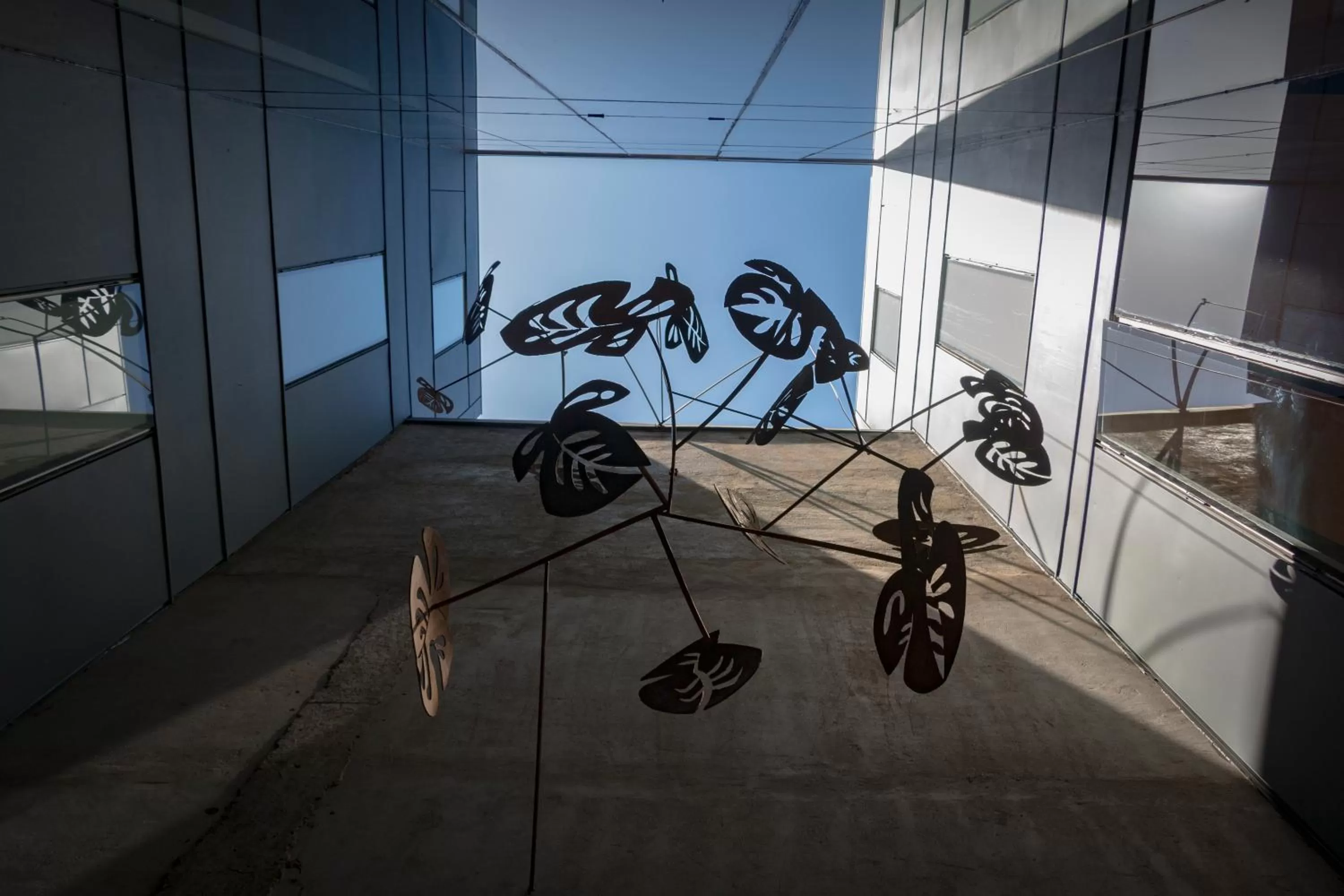 Area and facilities in Augusta Hotel