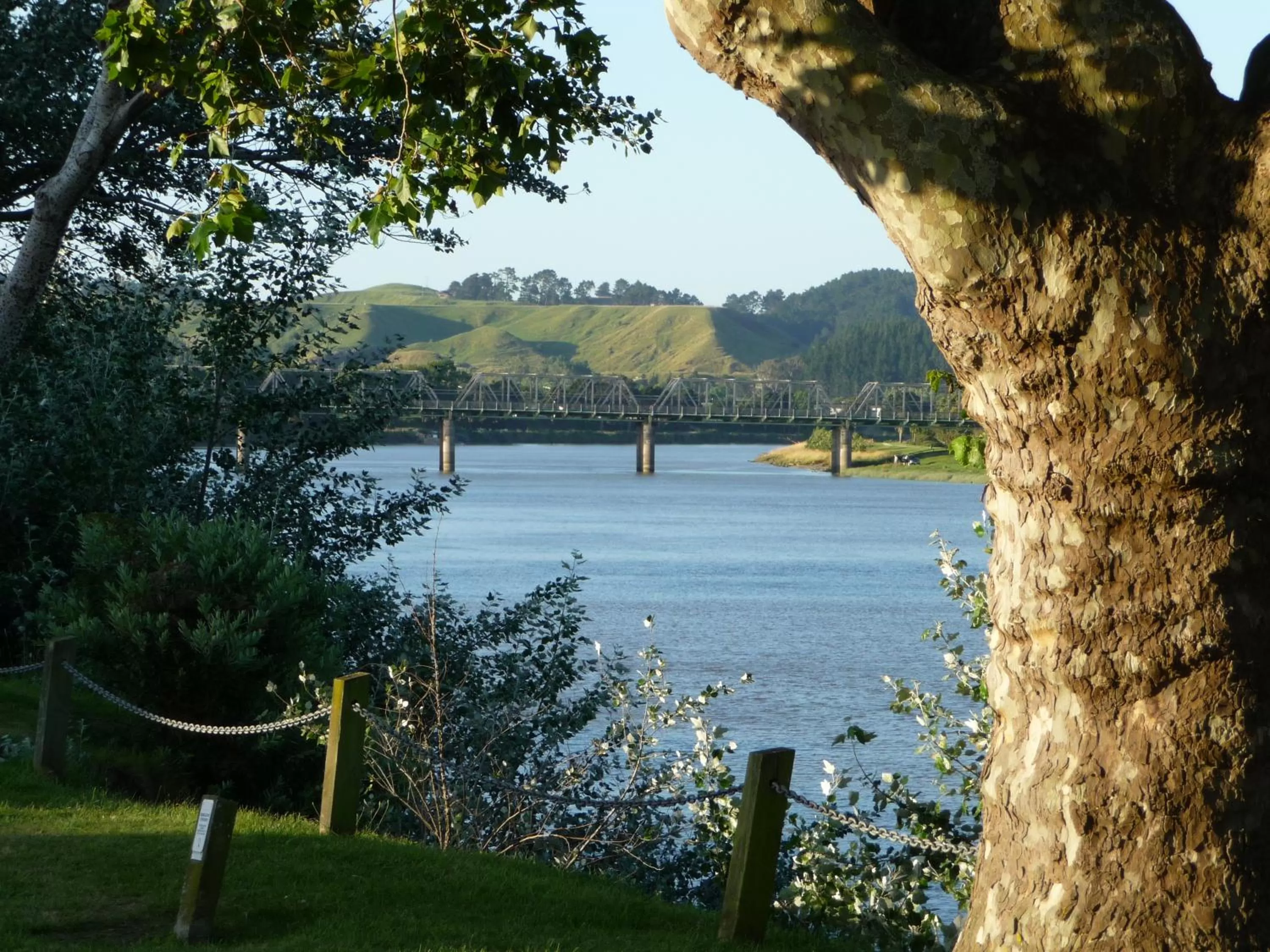 BK's Magnolia Motor Lodge