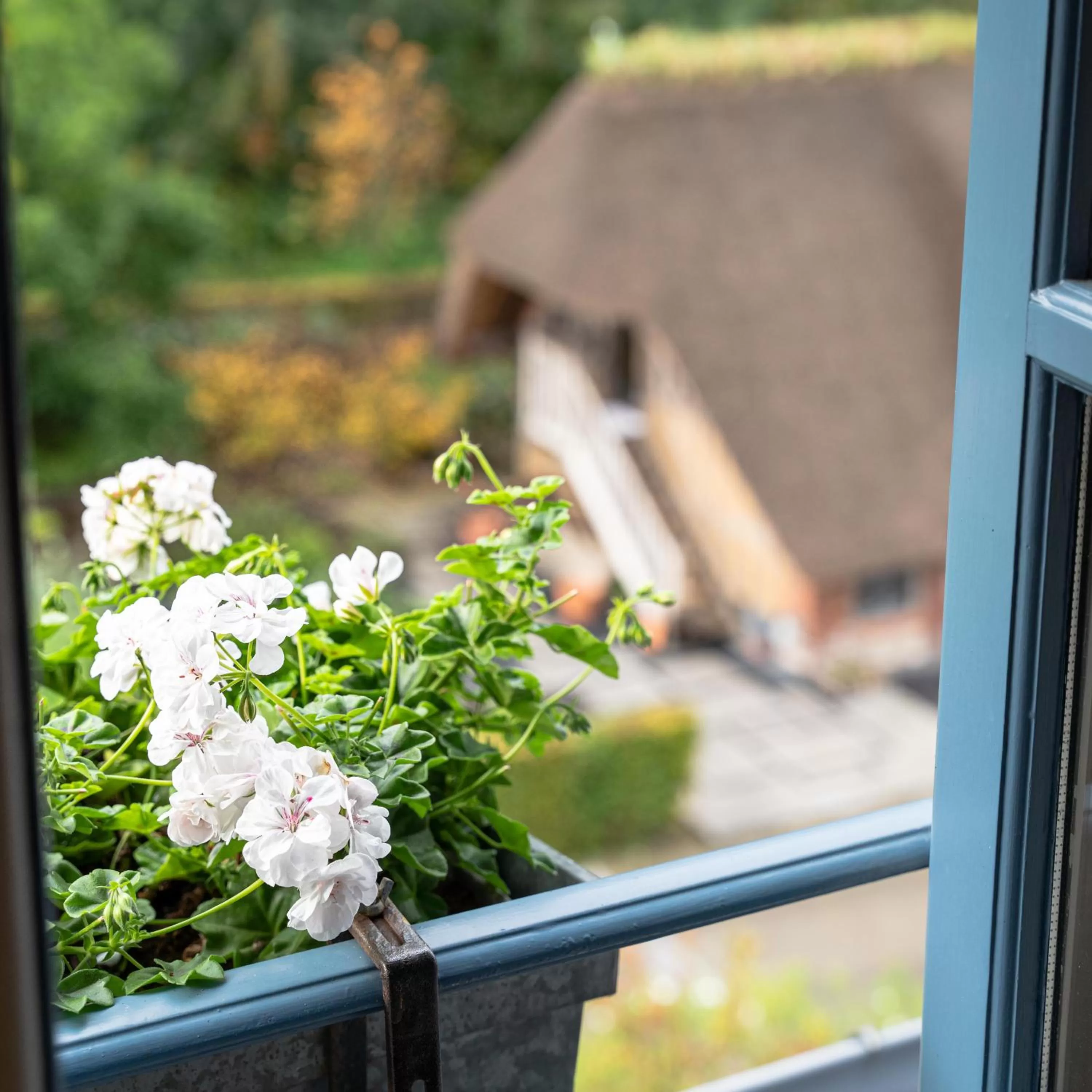Garden view in La Ferme Saint Simeon Hotel & Spa - Relais & Chateaux